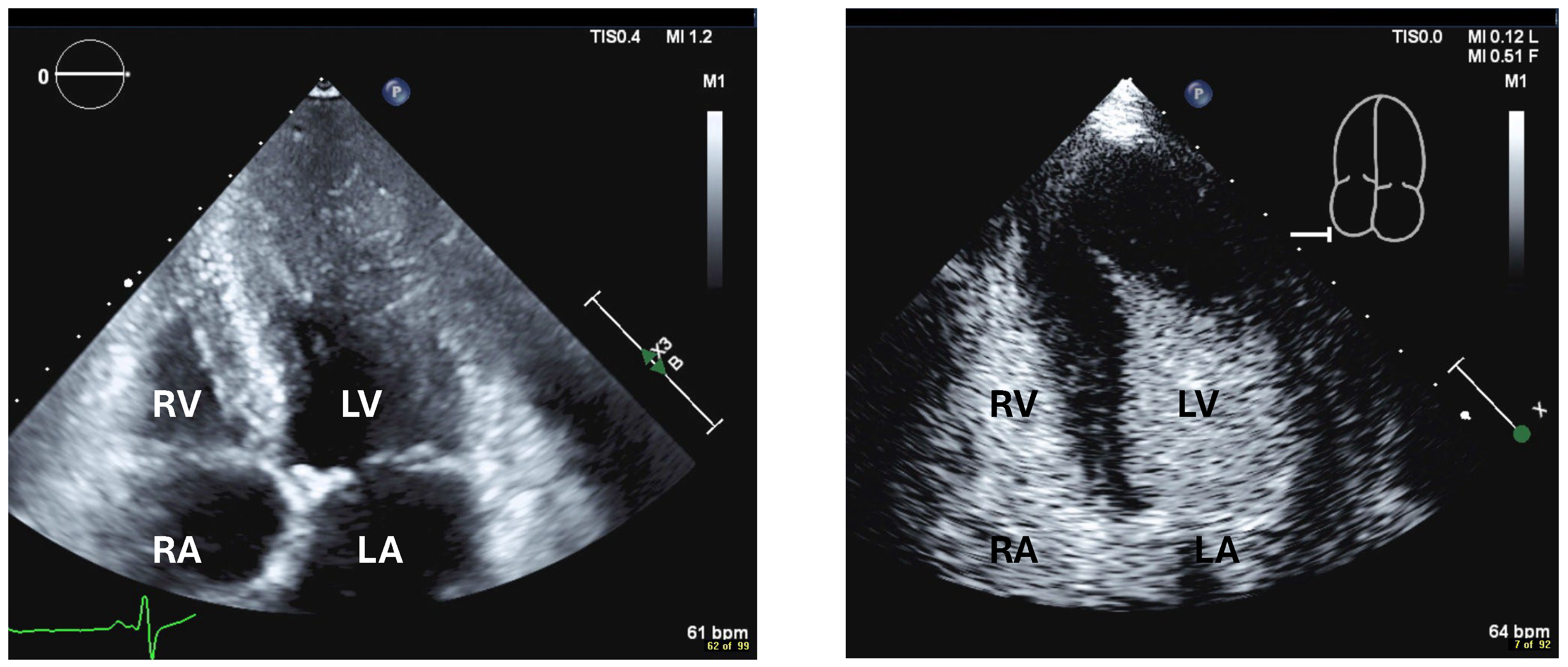 Diagnostics 15 02371 g010