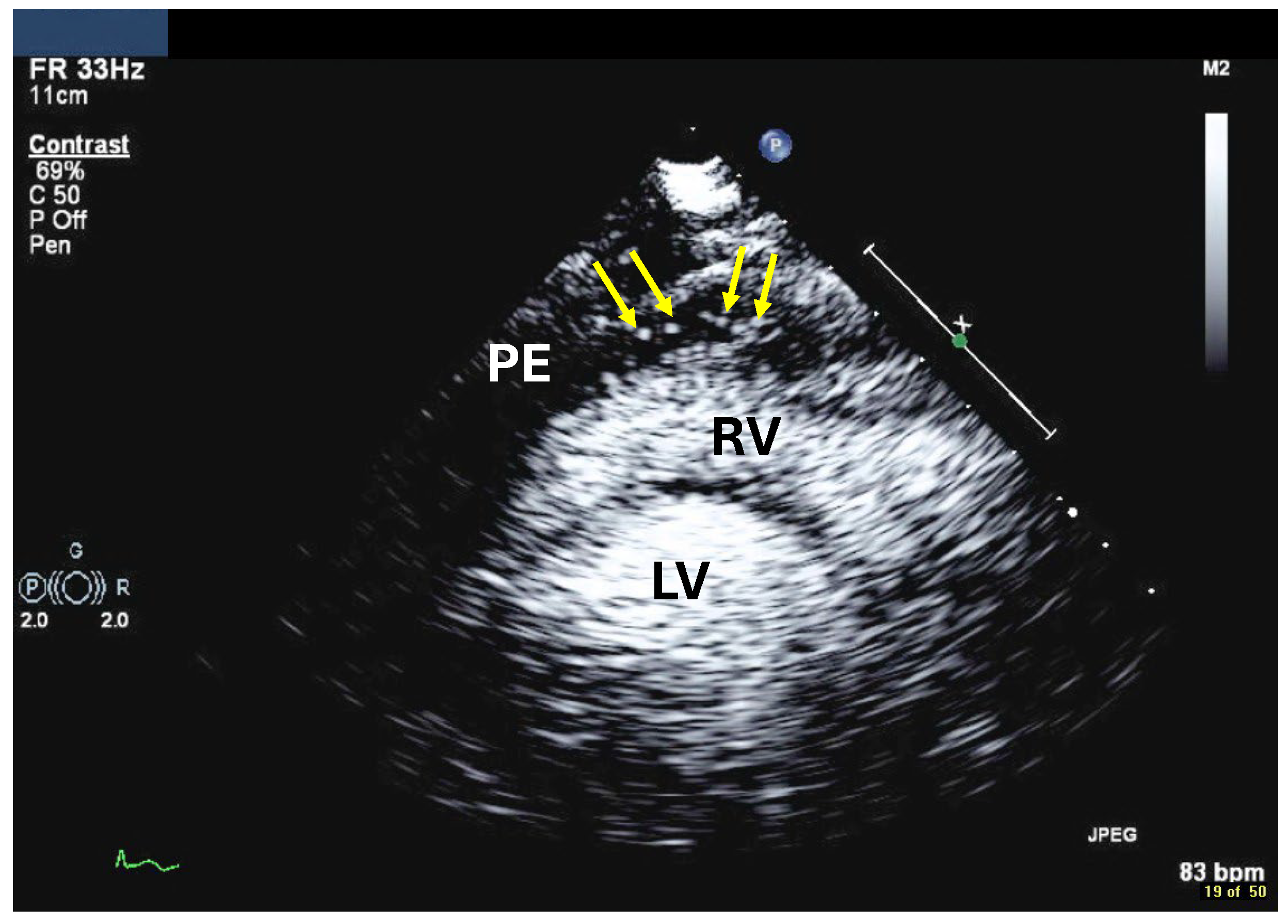 Diagnostics 15 02371 g017