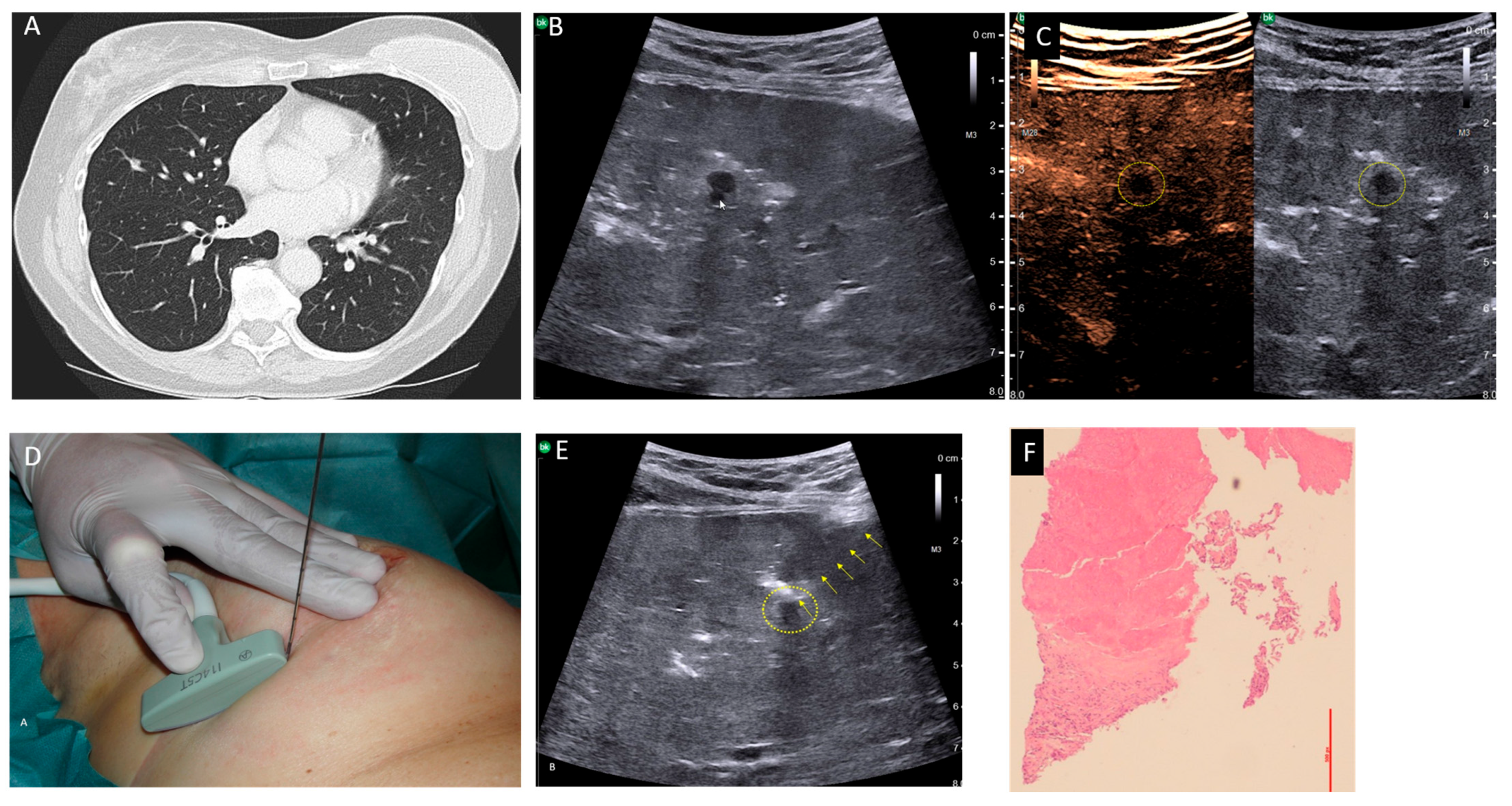 Diagnostics 15 02374 g001