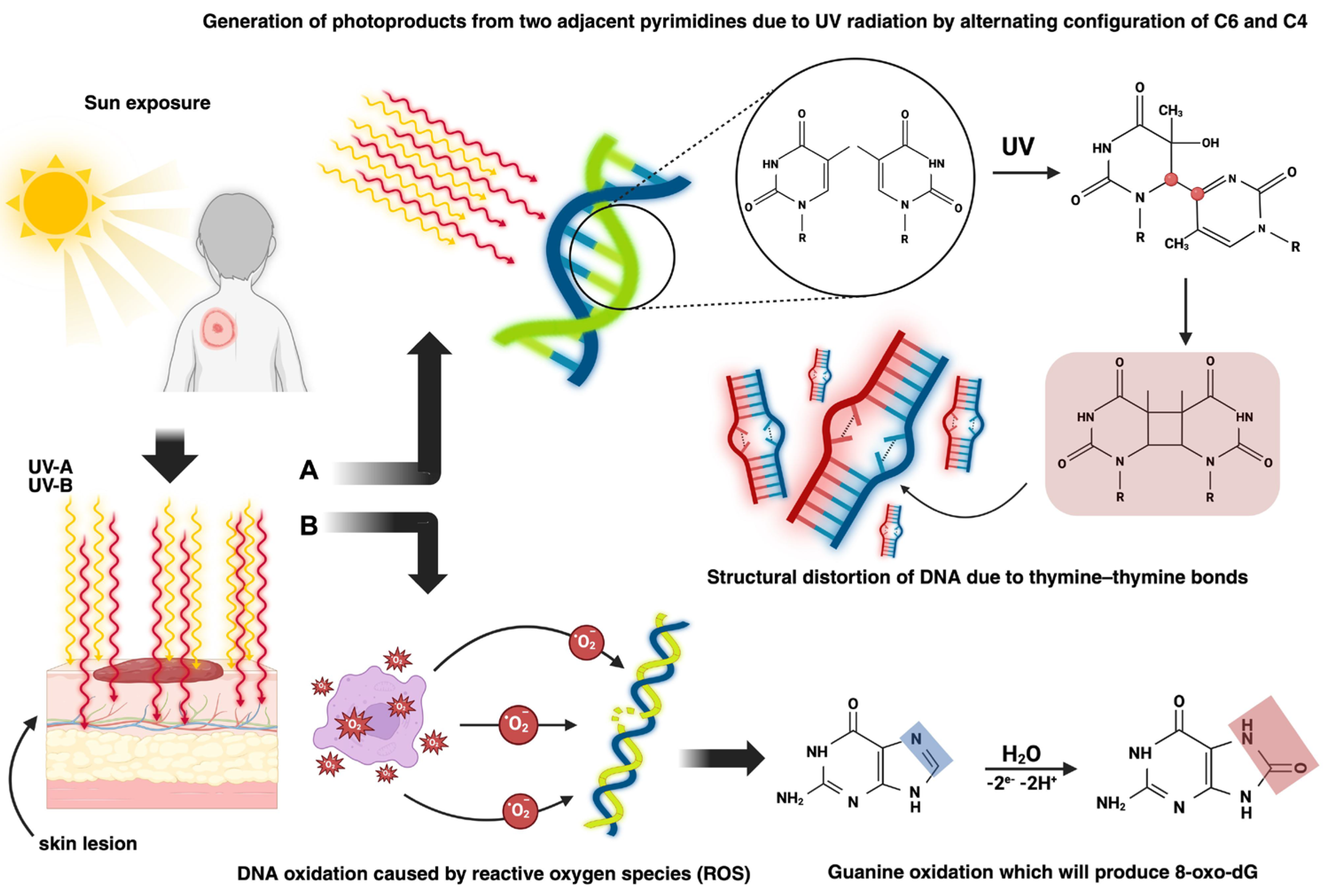 Diagnostics 15 02377 g002