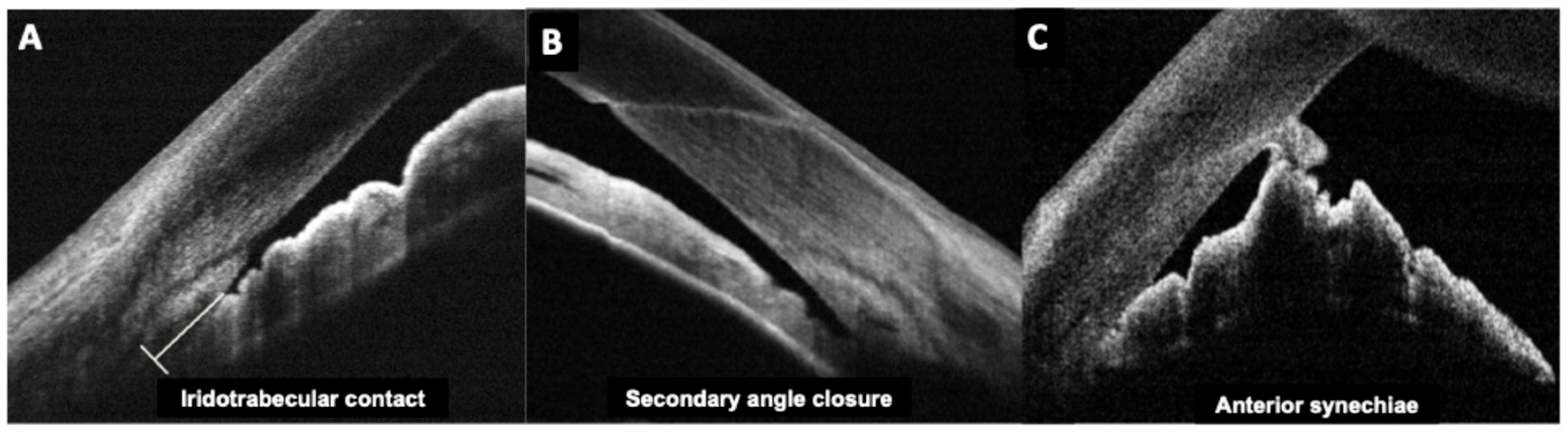Diagnostics 15 02385 g002
