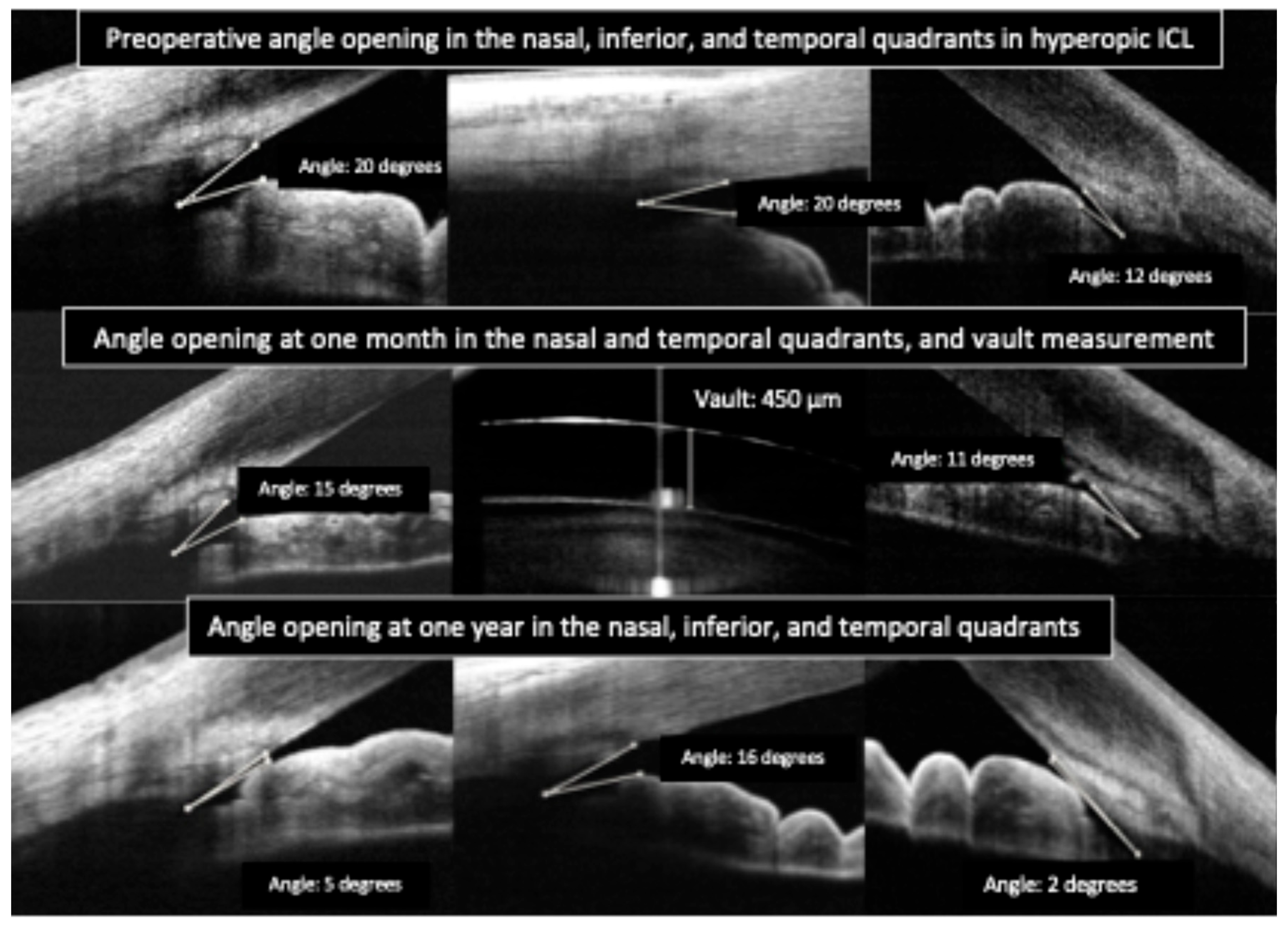 Diagnostics 15 02385 g003