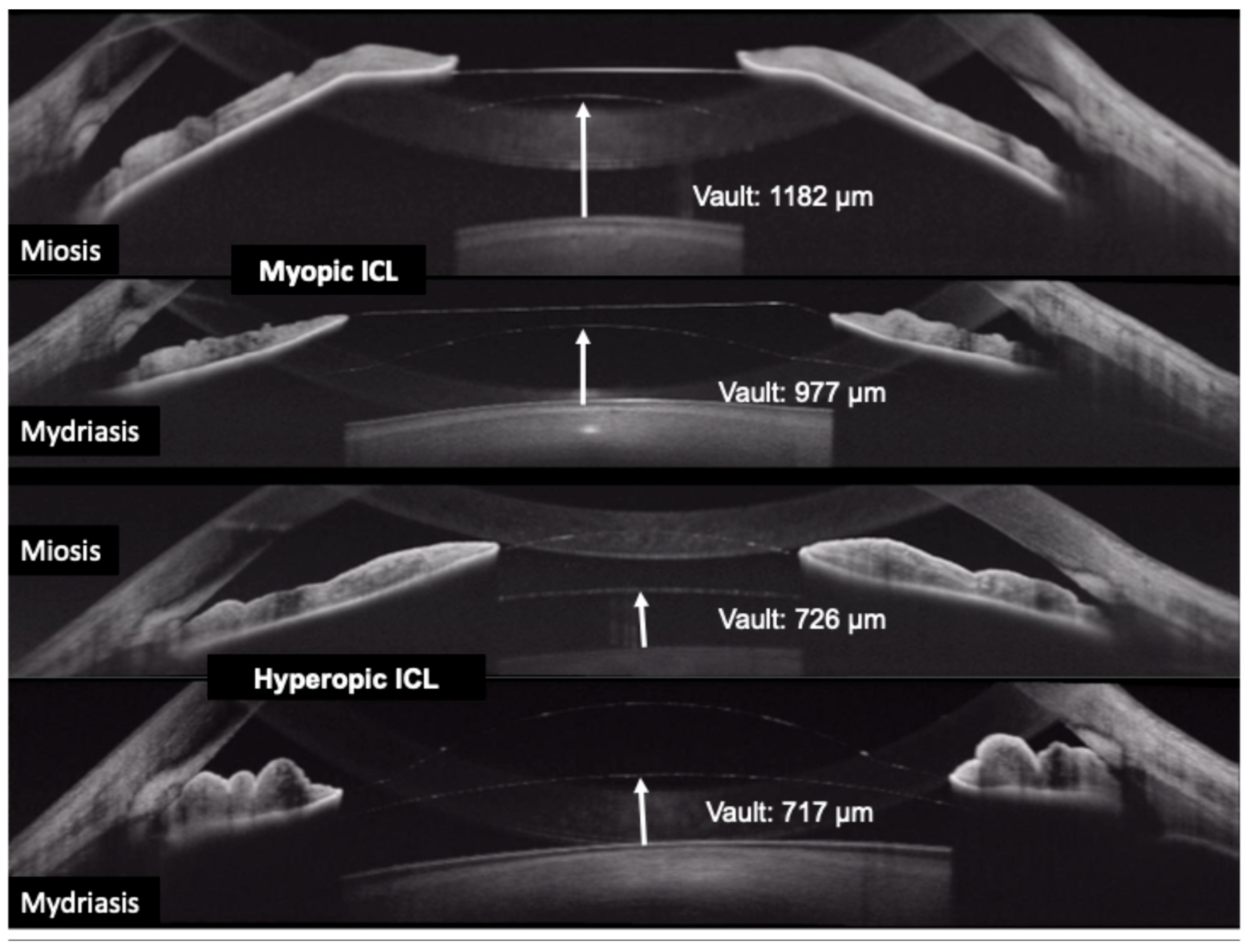 Diagnostics 15 02385 g004