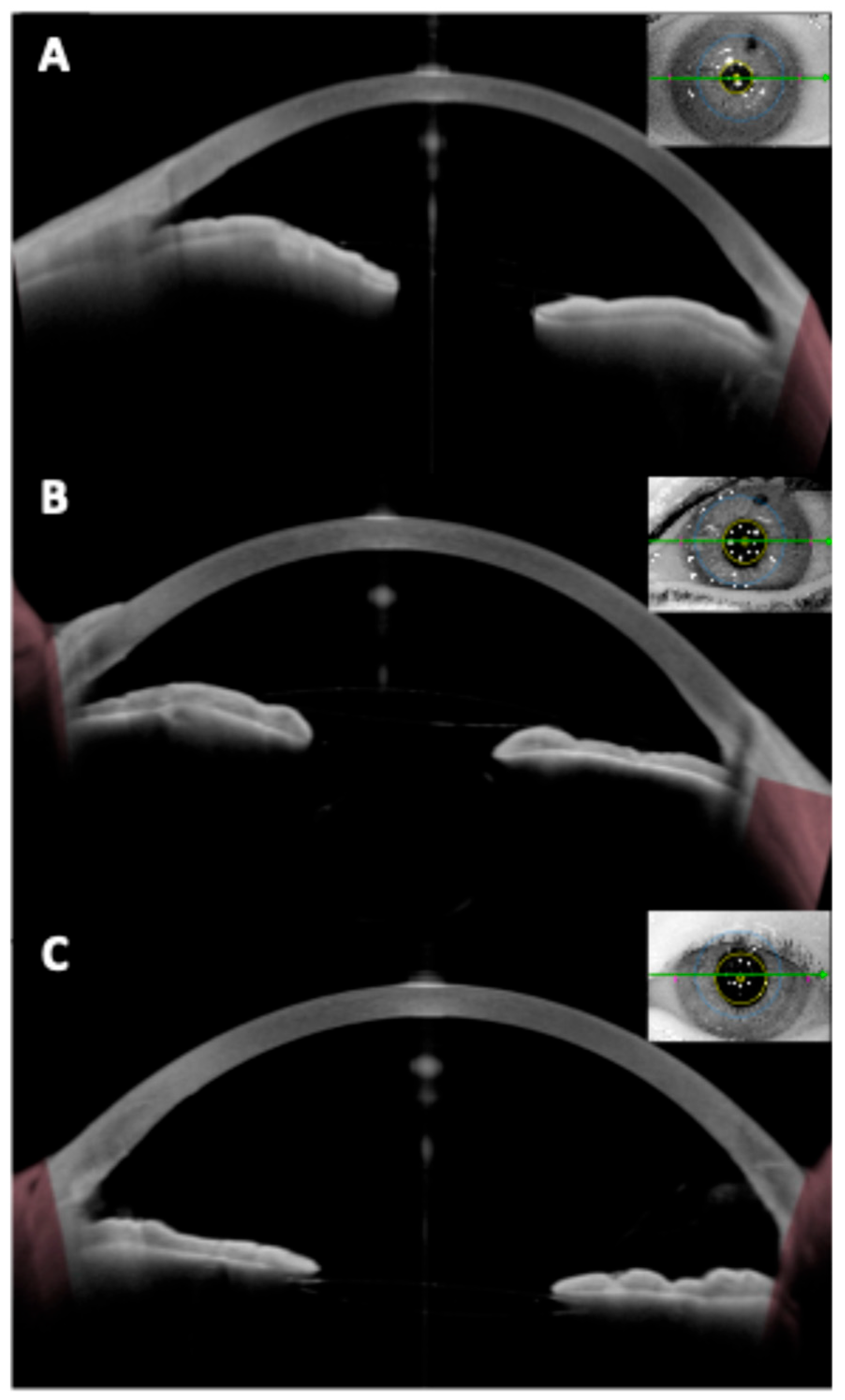 Diagnostics 15 02385 g006