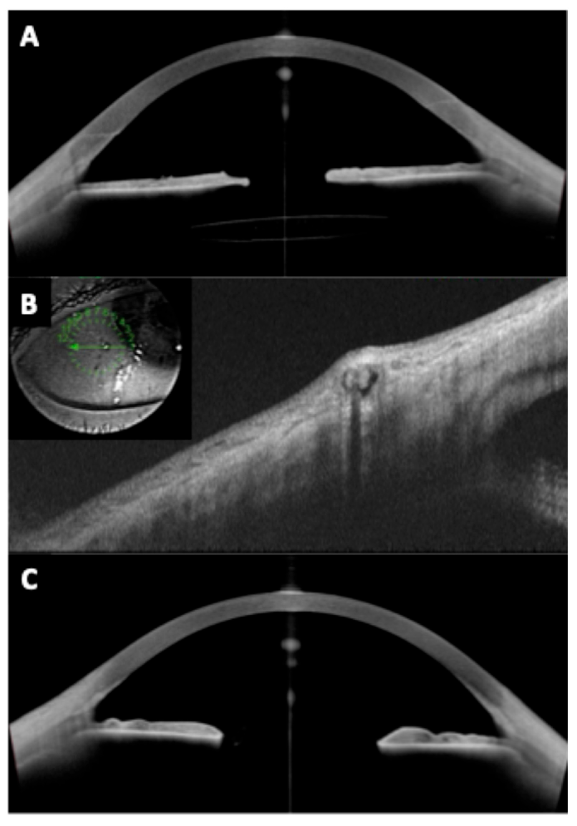 Diagnostics 15 02385 g008