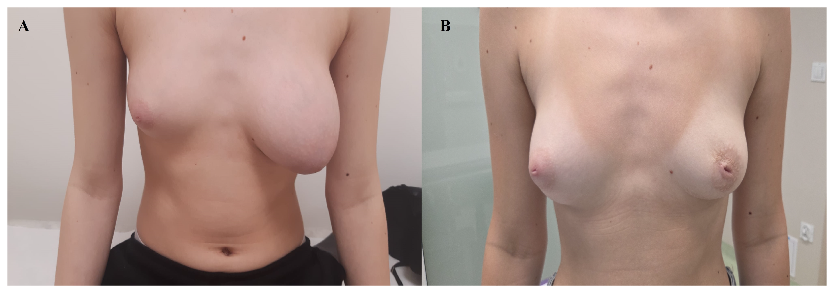 Diagnostics 15 02395 g004