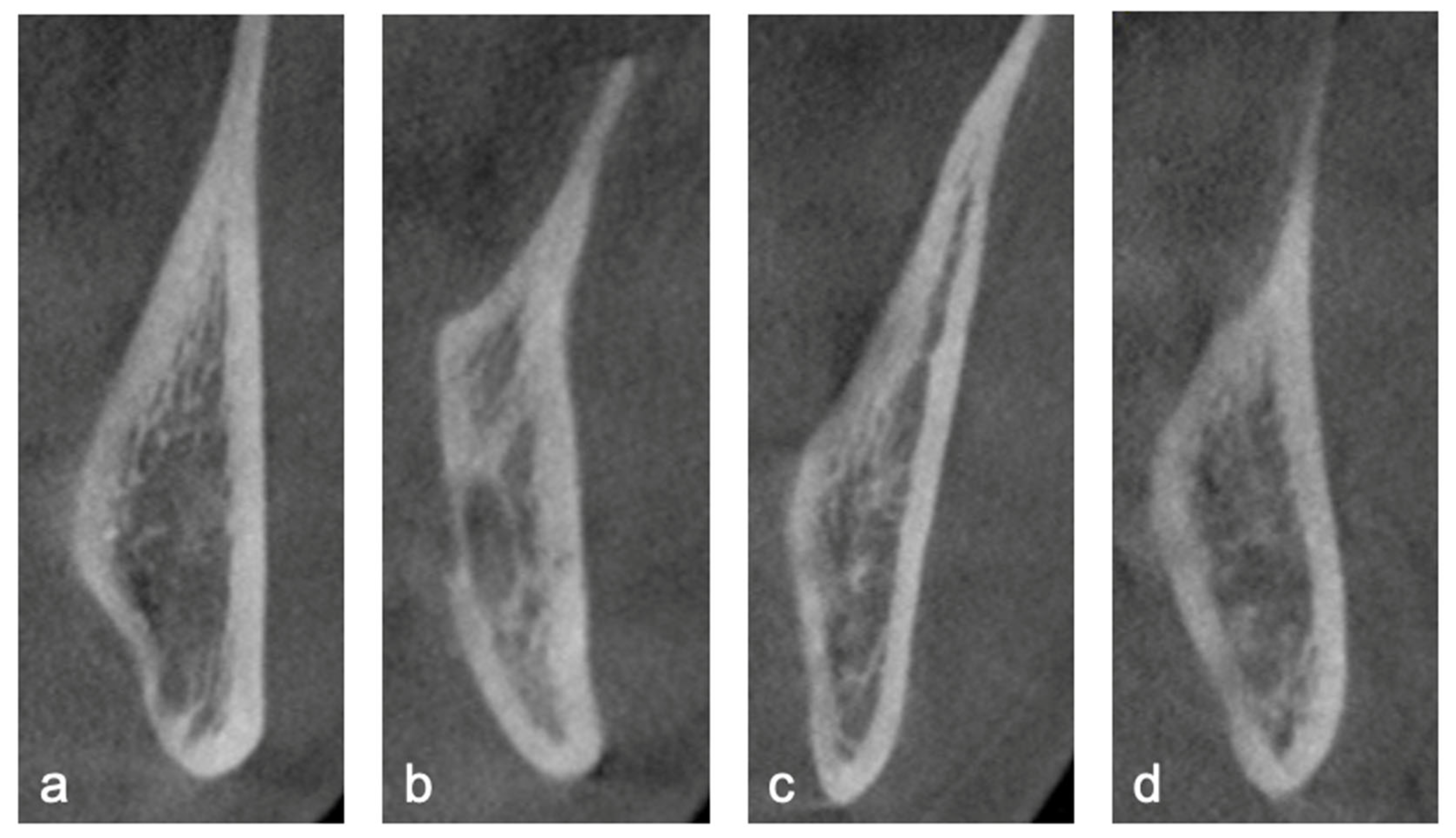 Diagnostics 15 02401 g001 Diagnostics 15 02401 g001