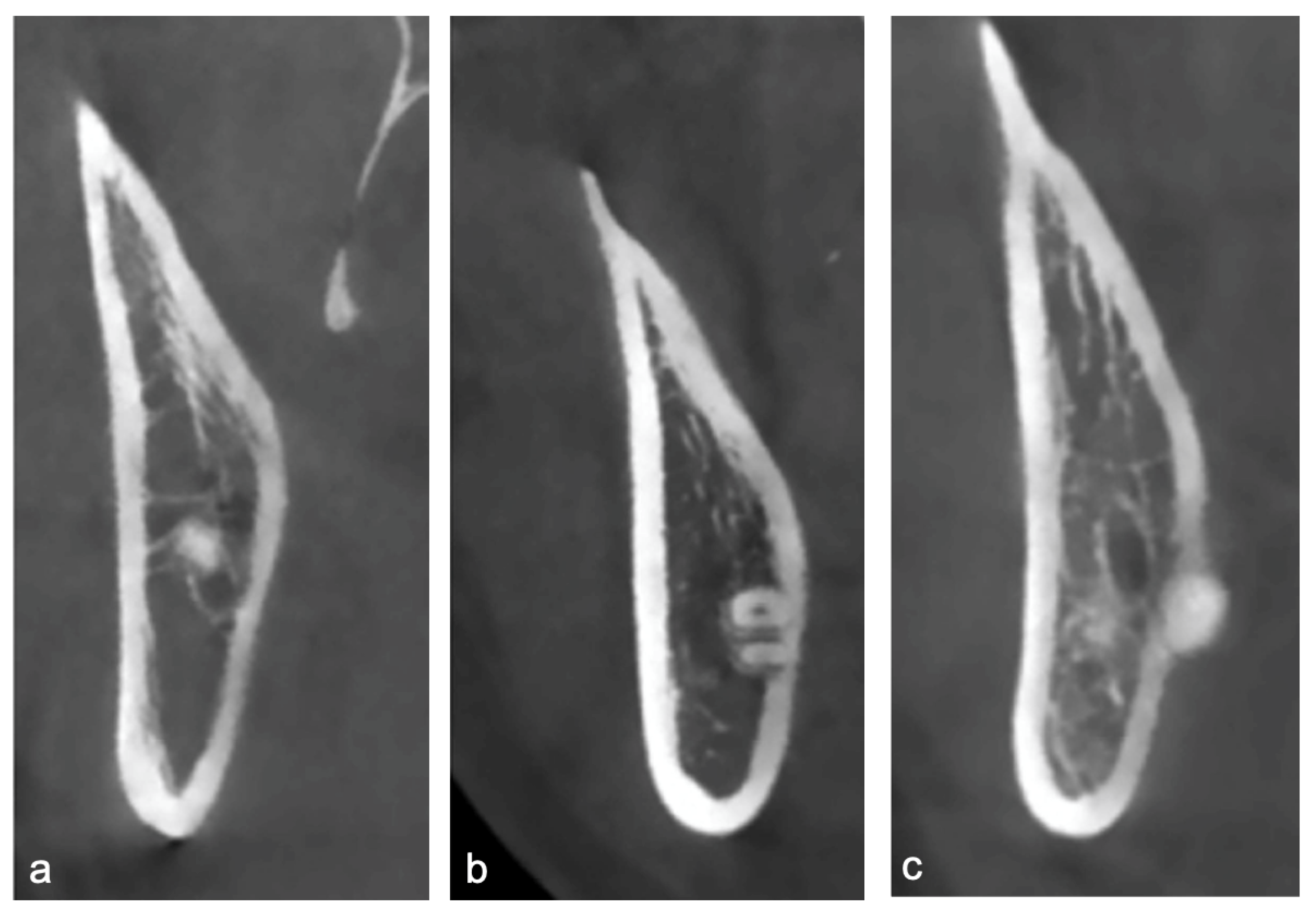 Diagnostics 15 02401 g002 Diagnostics 15 02401 g002