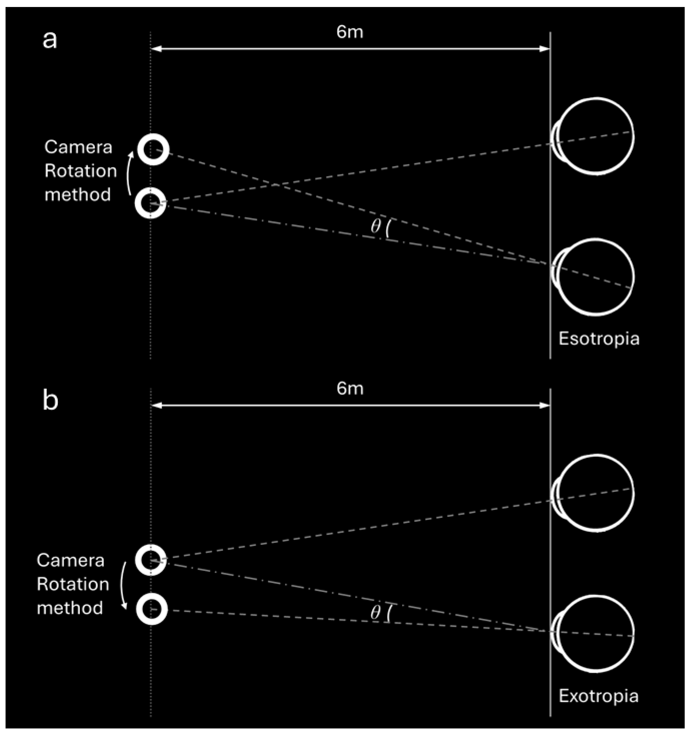Diagnostics 15 02402 g003 Diagnostics 15 02402 g003