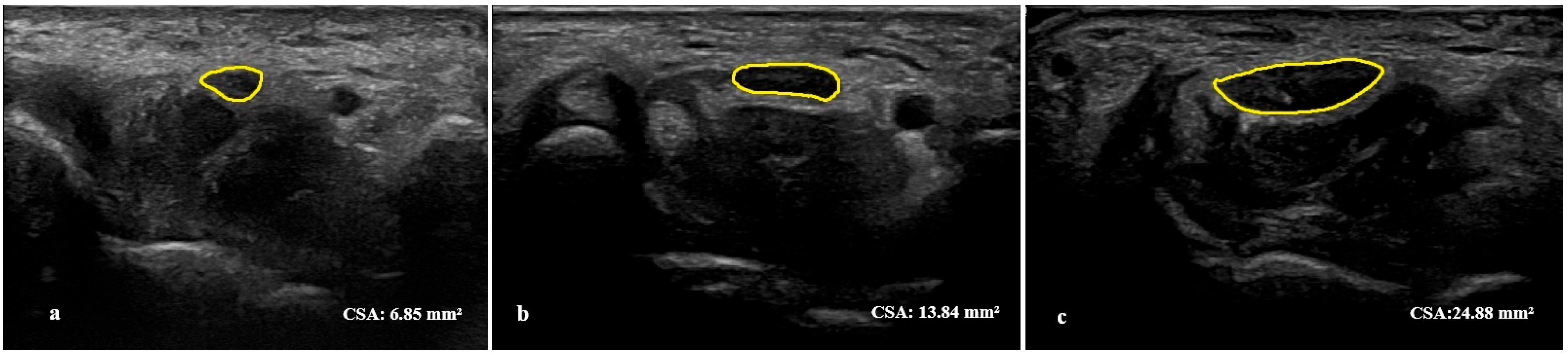 Diagnostics 15 02407 g001