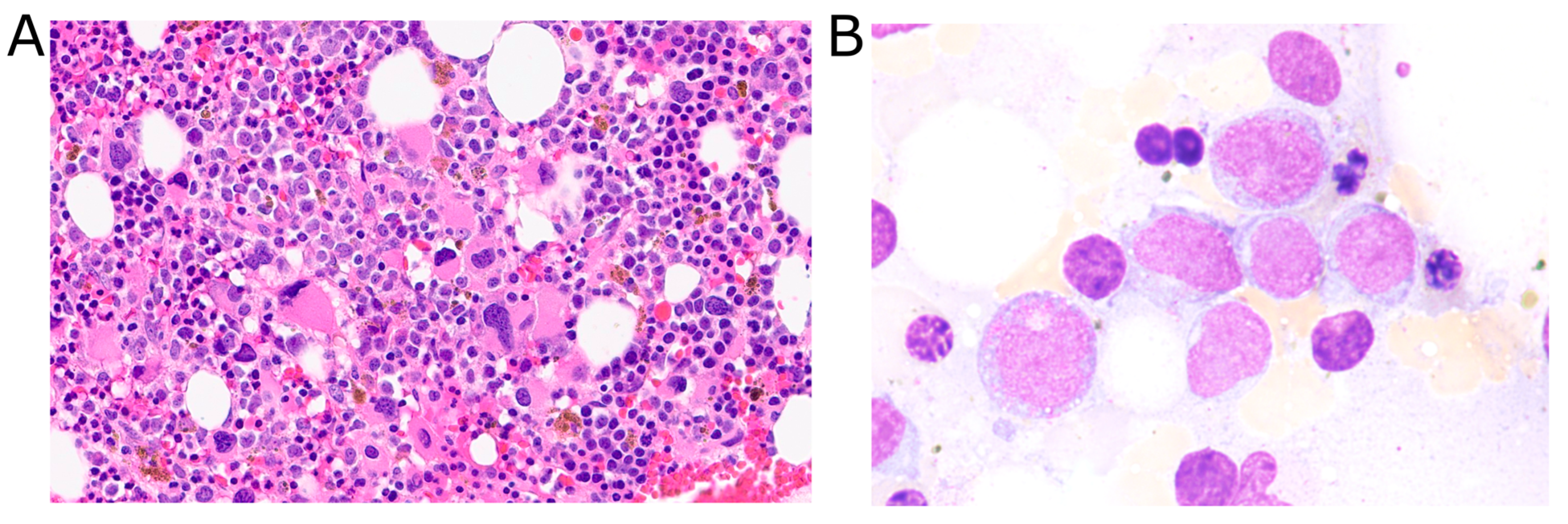 Diagnostics 15 02410 g001