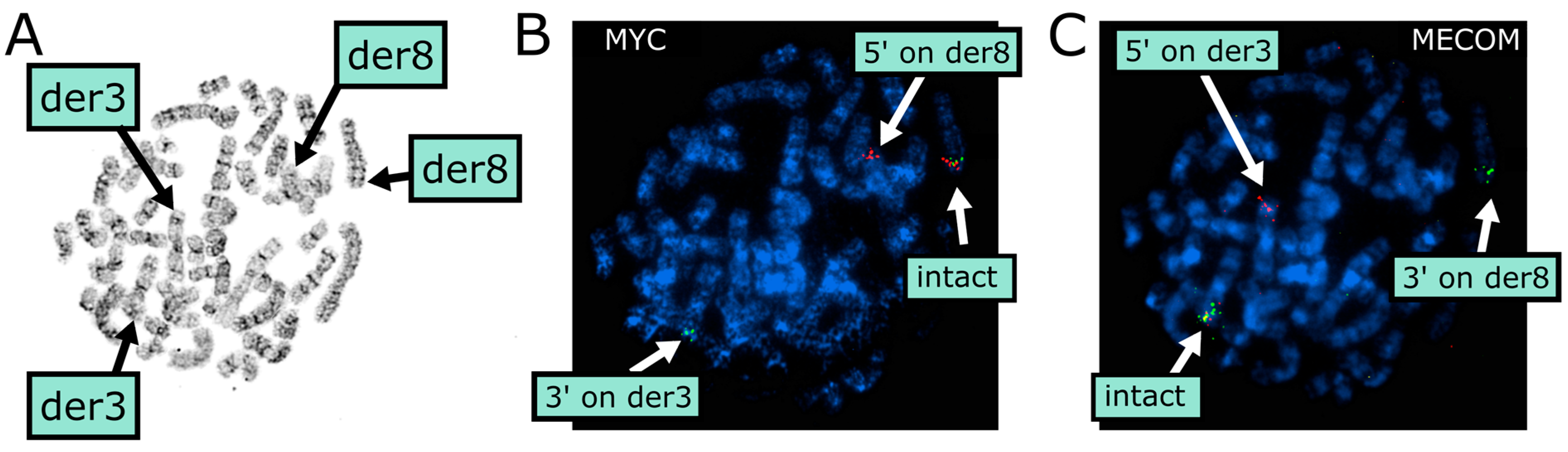 Diagnostics 15 02410 g002