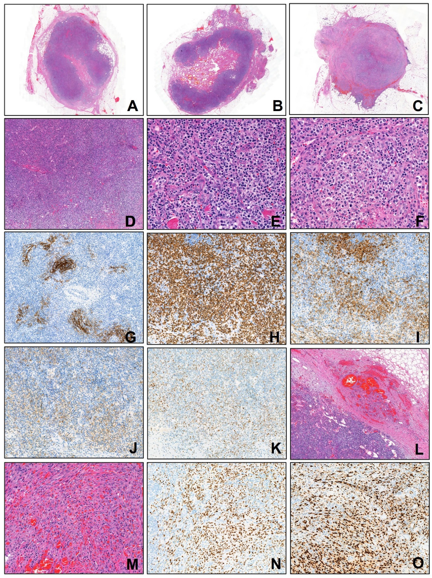 Diagnostics 15 02411 g002