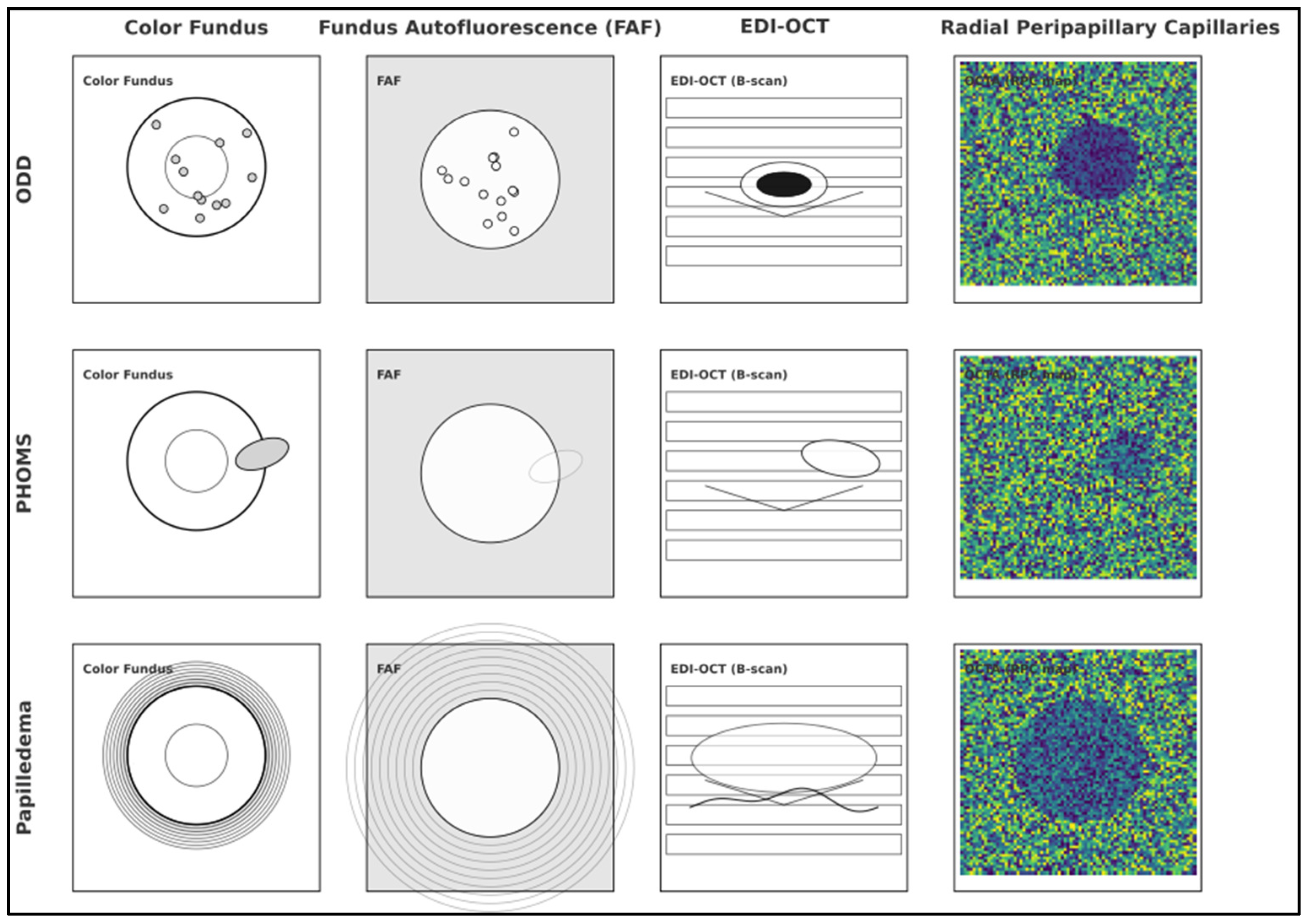 Diagnostics 15 02414 g004 Diagnostics 15 02414 g004