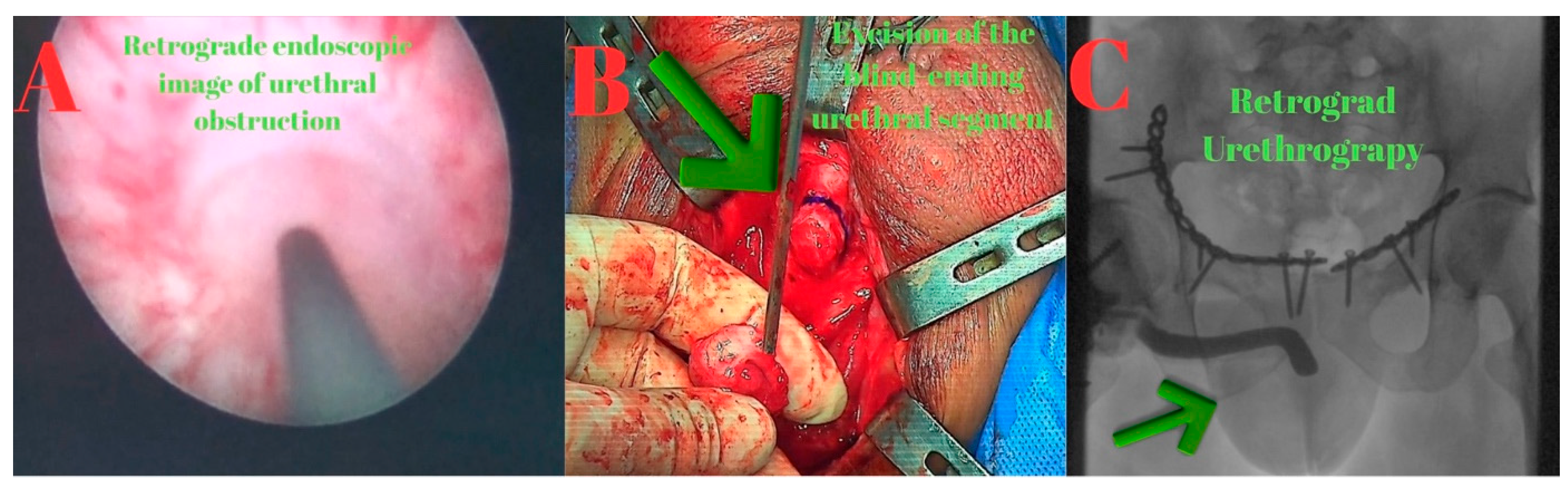 Diagnostics 15 02415 g008