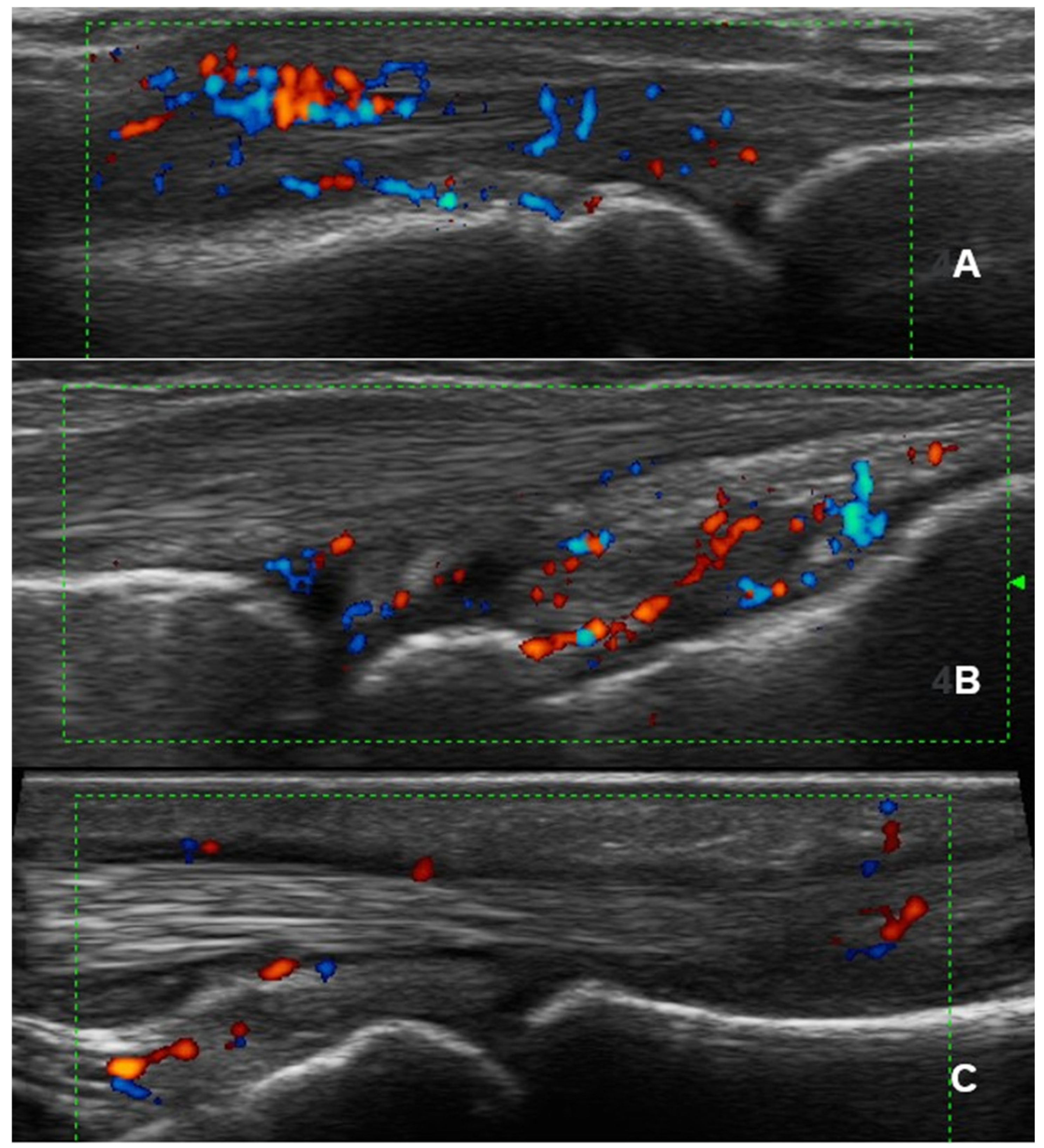Diagnostics 15 02418 g002 Diagnostics 15 02418 g002