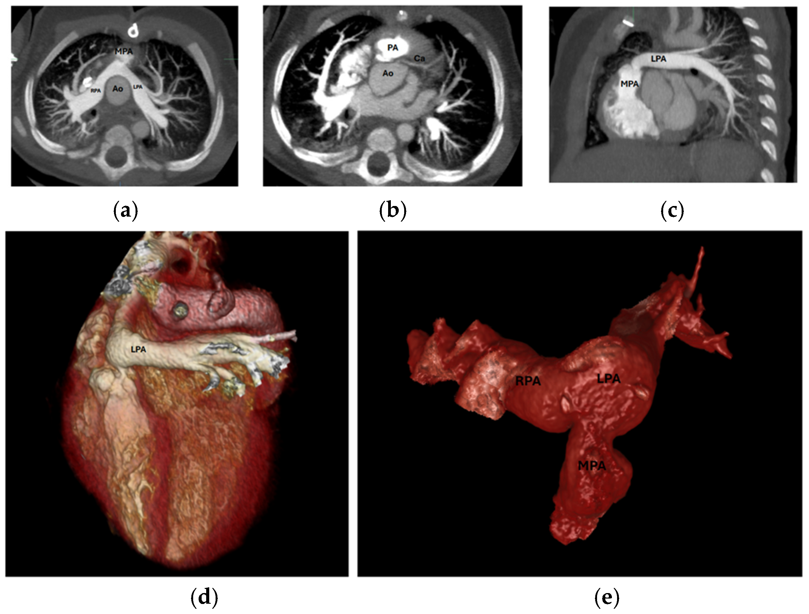 Diagnostics 15 02419 g006