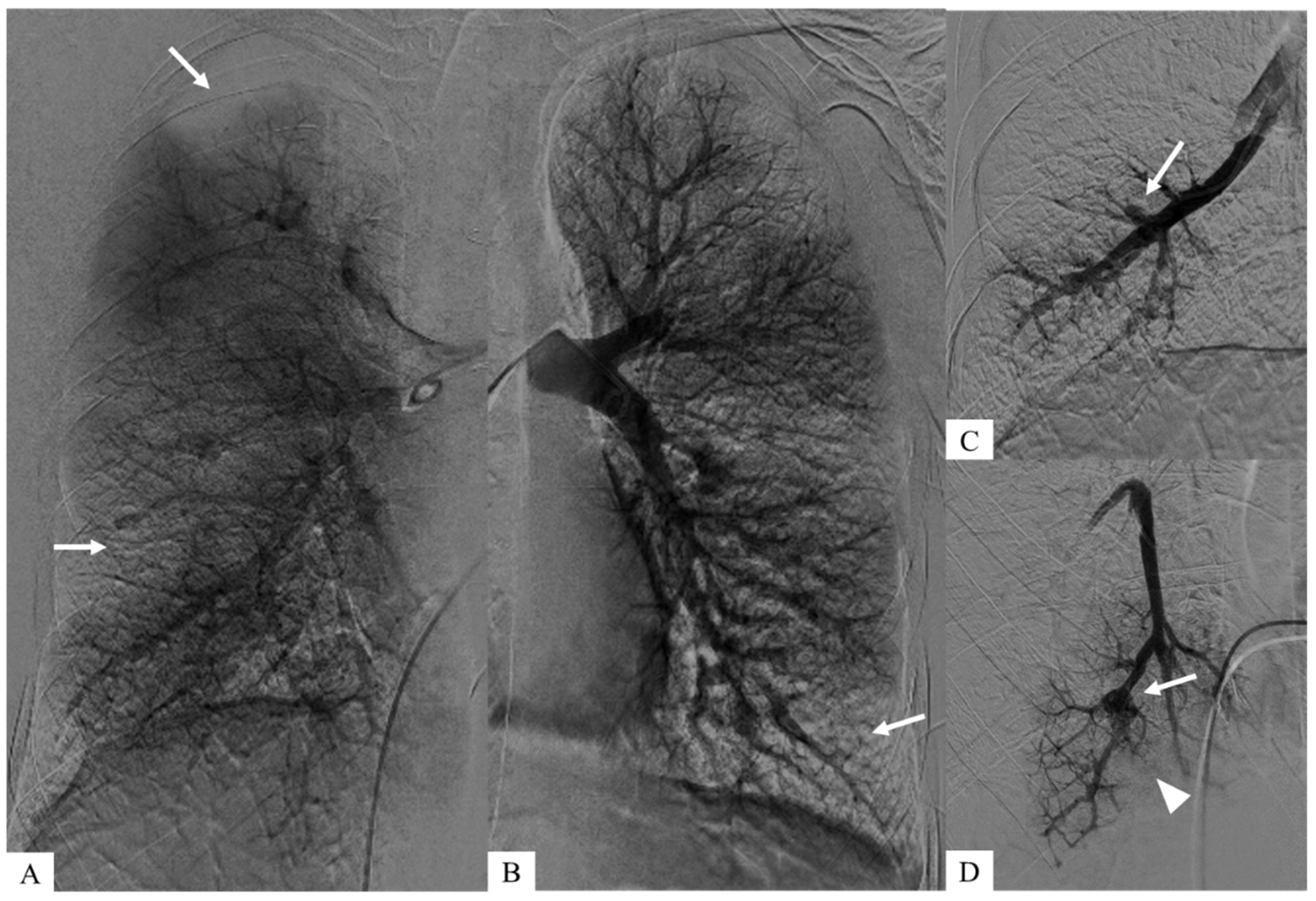 Diagnostics 15 02420 g002 Diagnostics 15 02420 g002