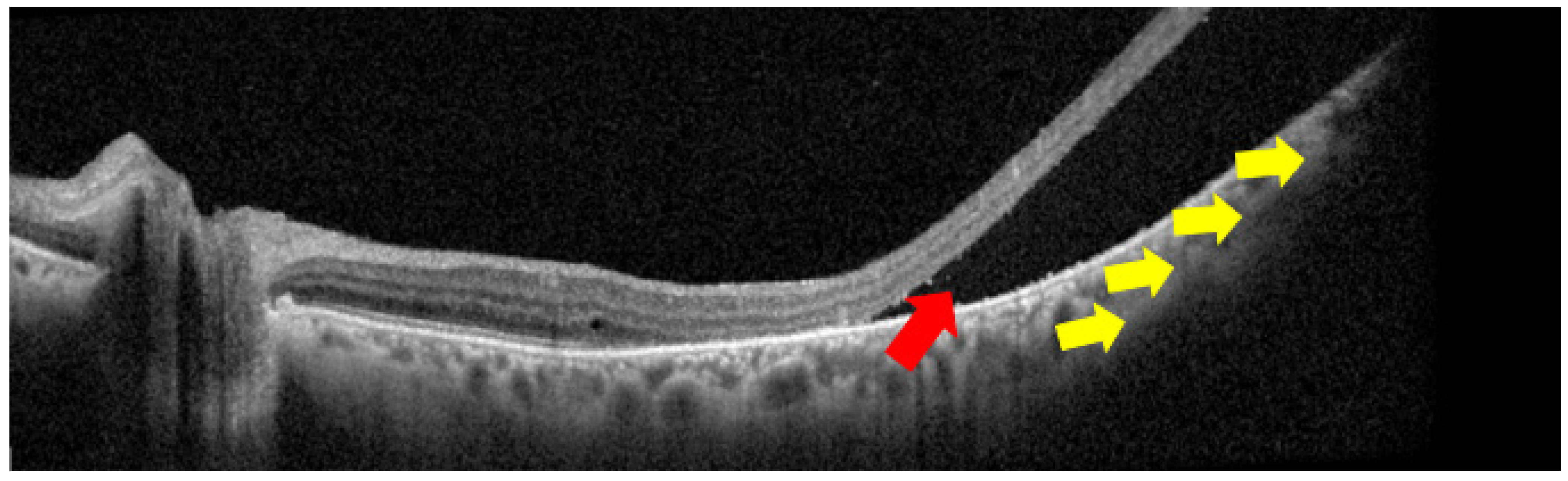 Diagnostics 15 02421 g001