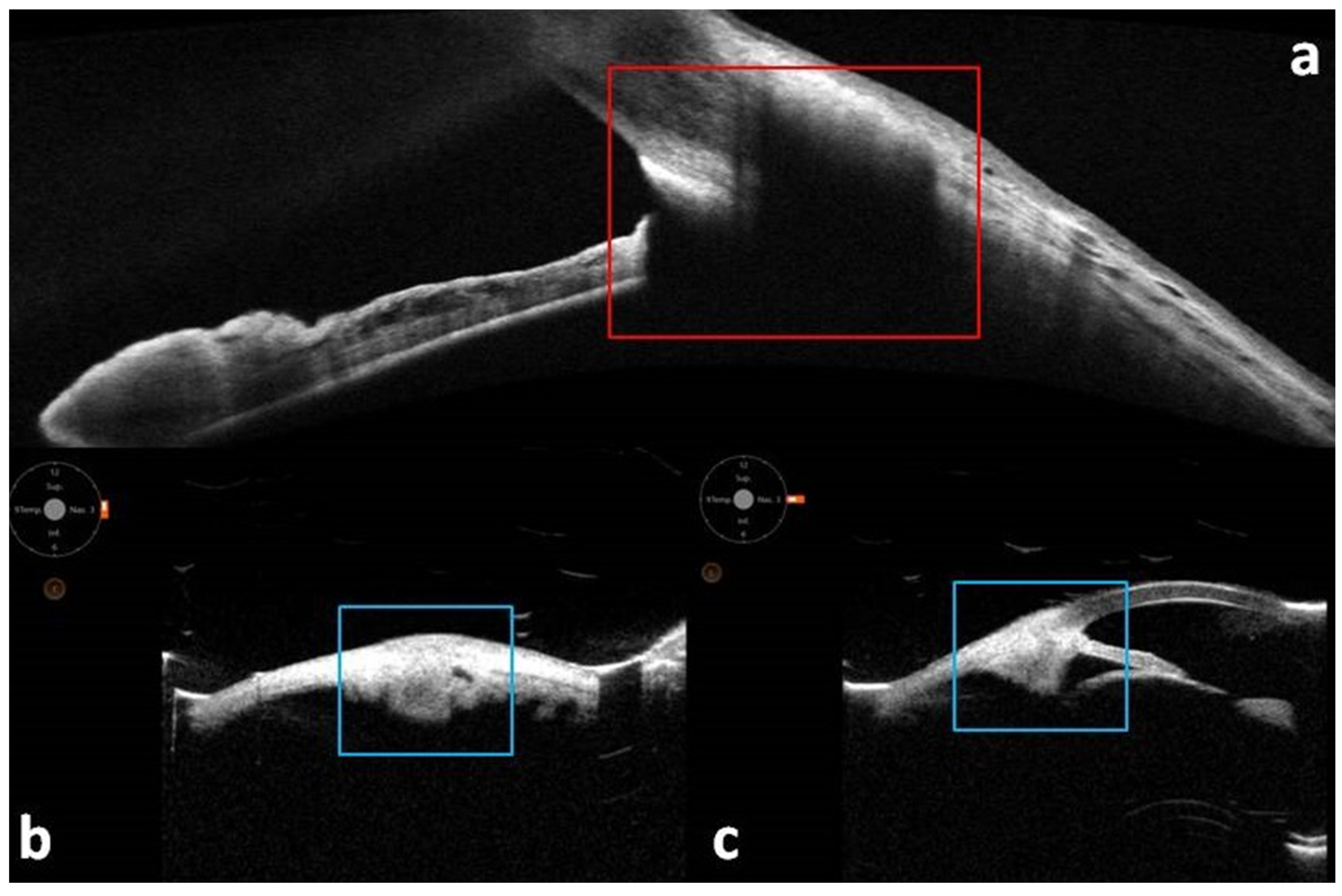 Diagnostics 15 02421 g002