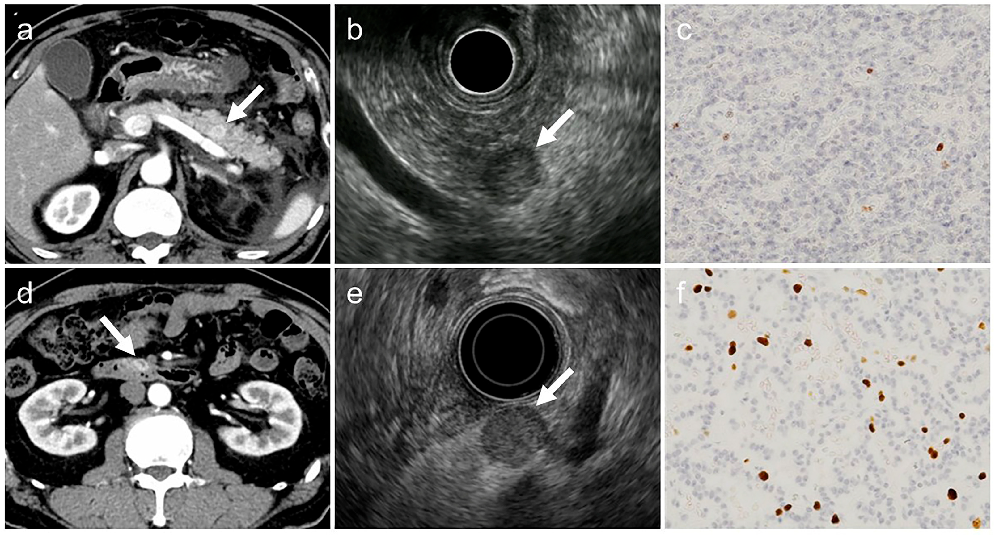 Diagnostics 15 02423 g003