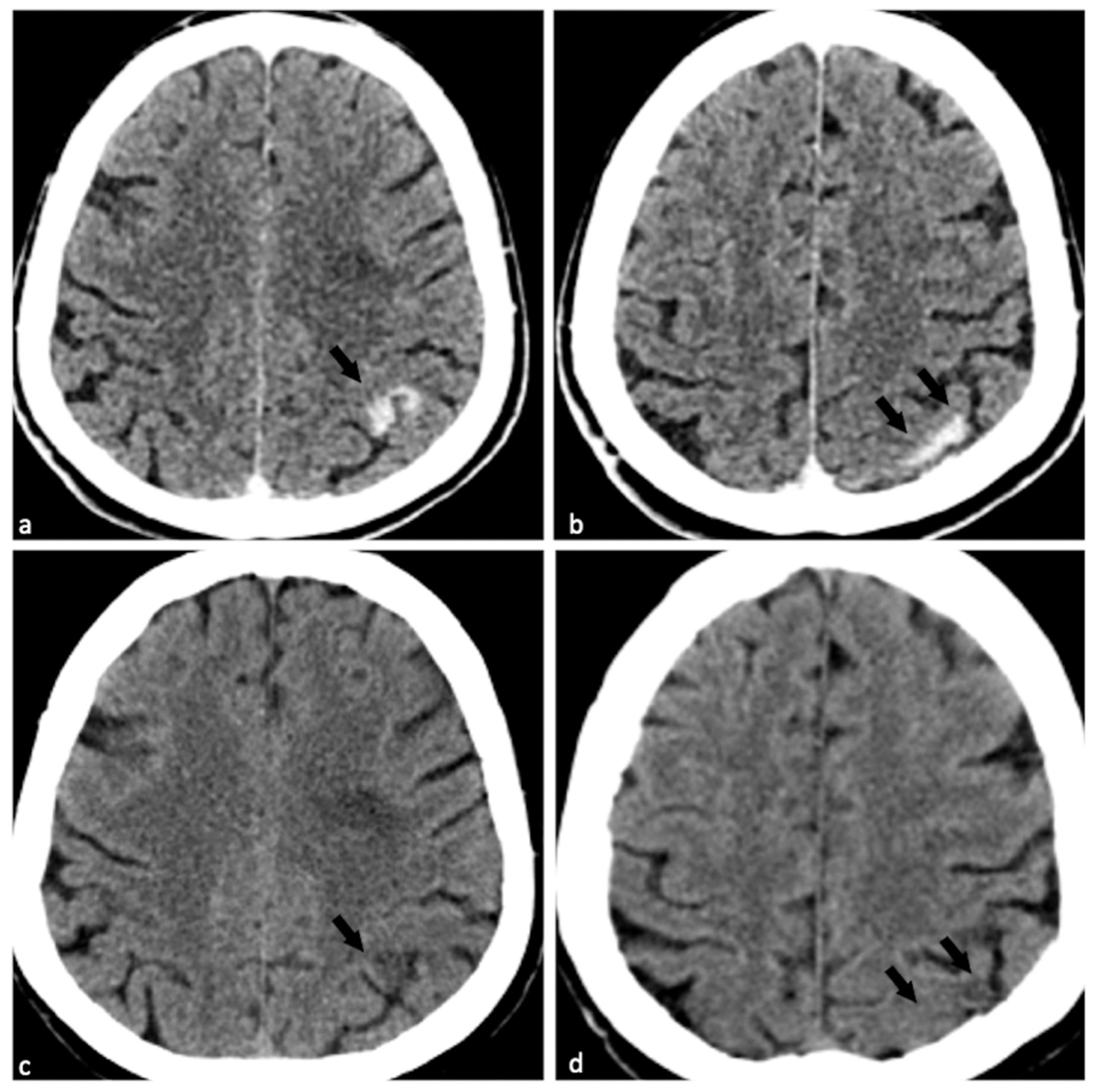 Diagnostics 15 02426 g001