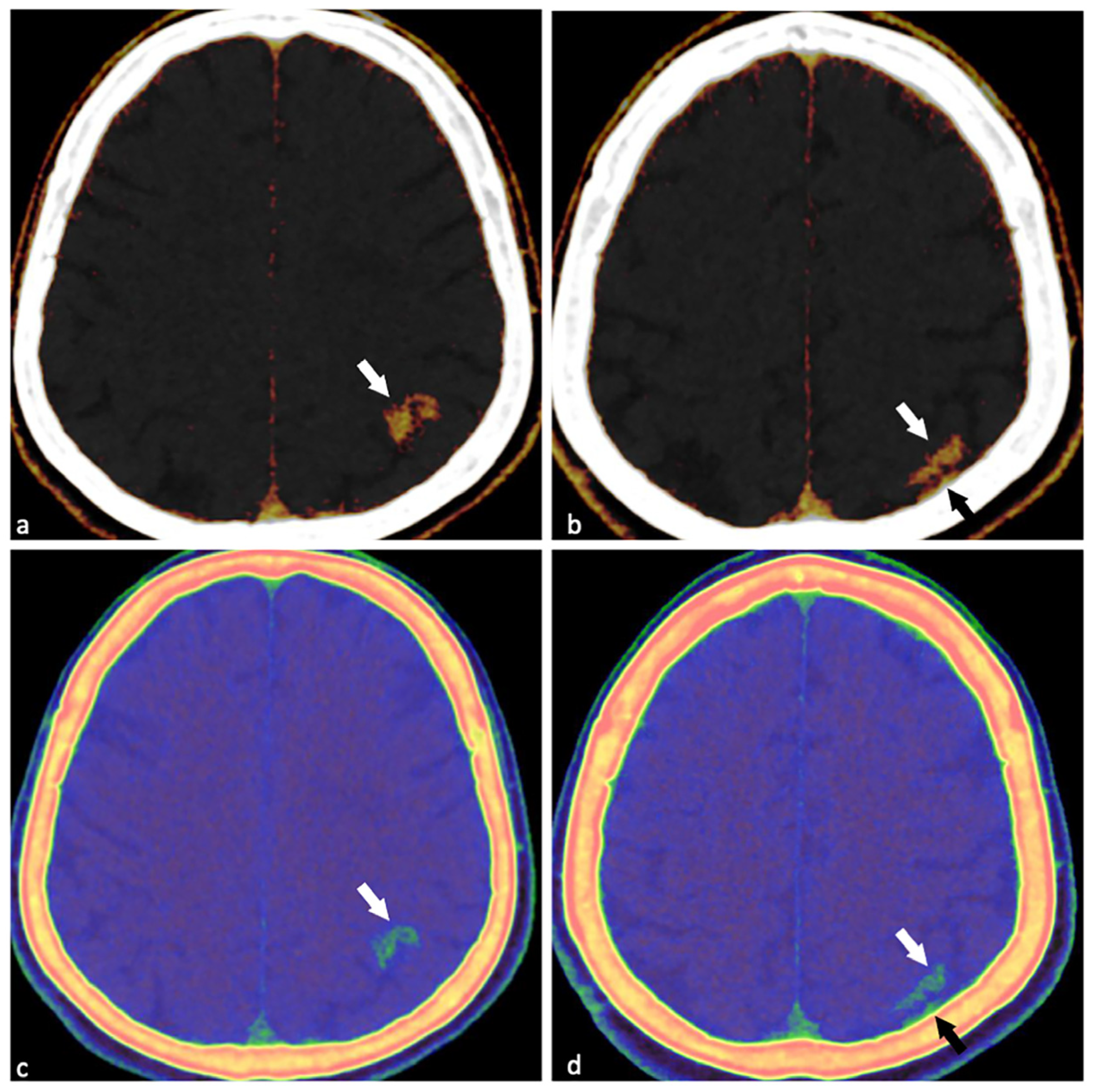 Diagnostics 15 02426 g002