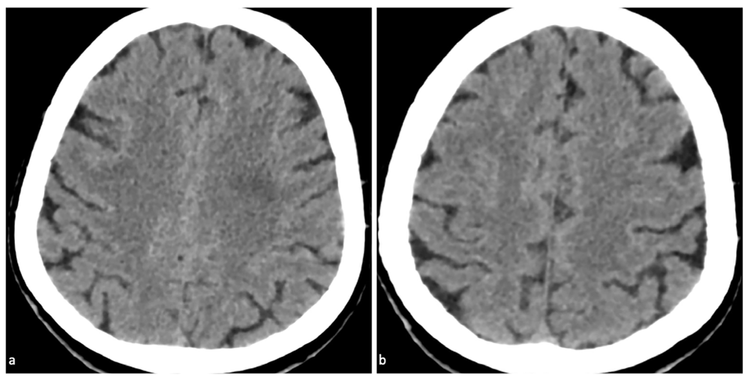Diagnostics 15 02426 g003