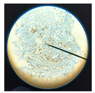 Diagnostics 15 02428 i002 Diagnostics 15 02428 i002