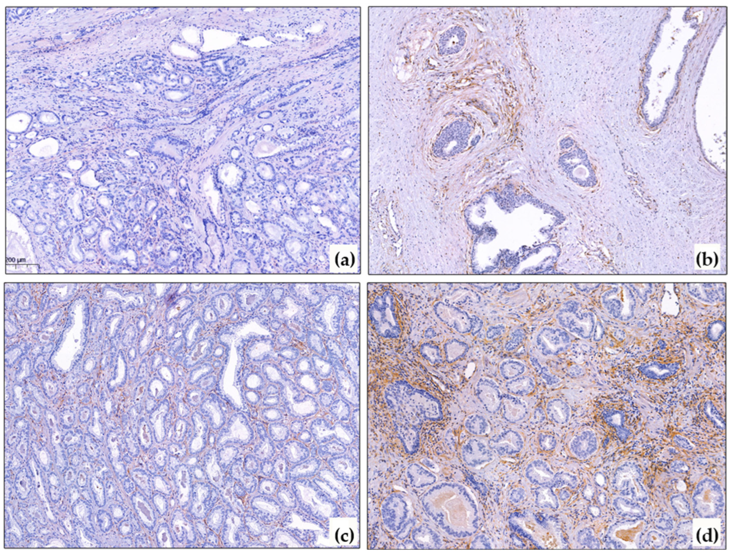 Diagnostics 15 02434 g001