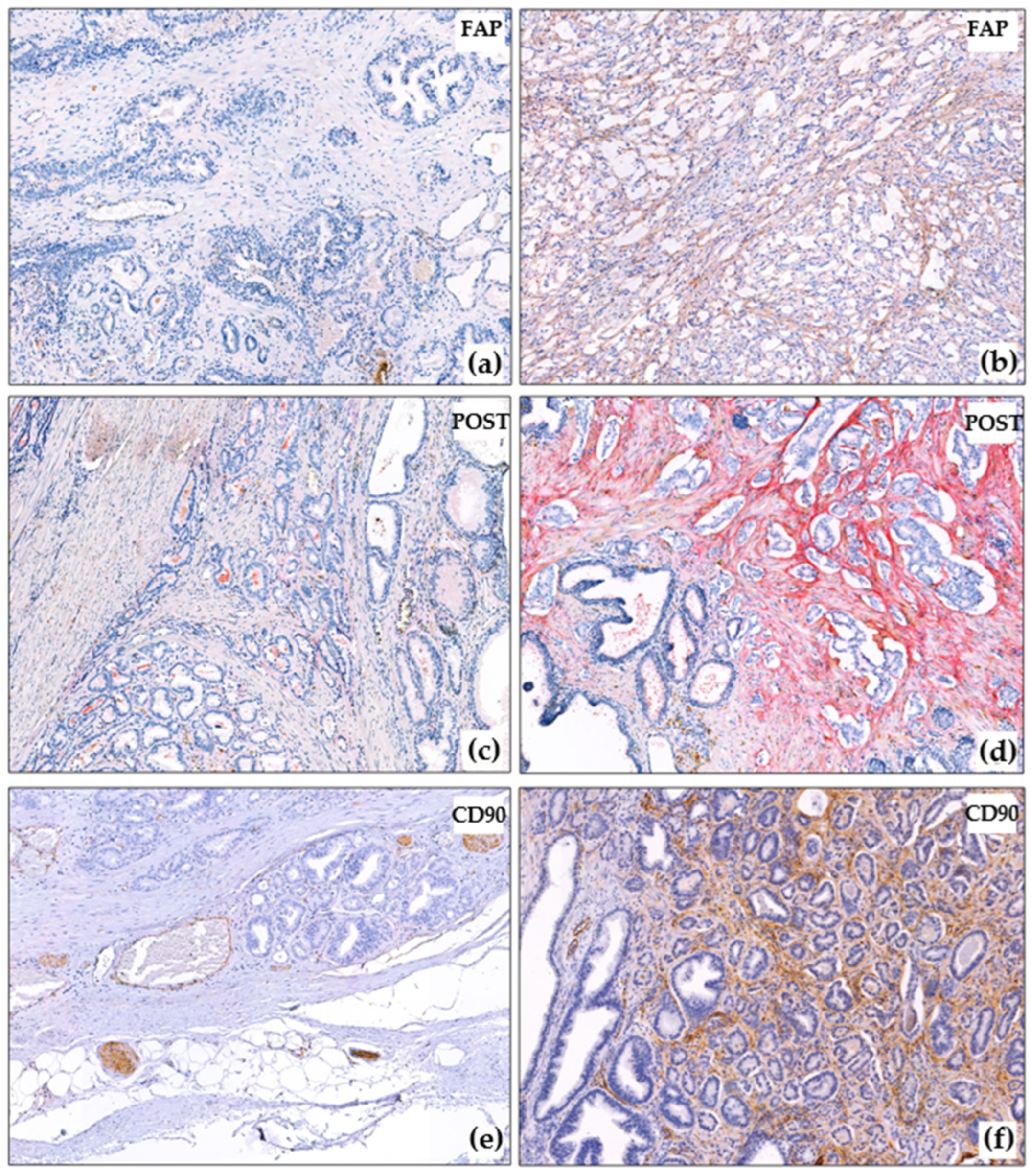Diagnostics 15 02434 g002