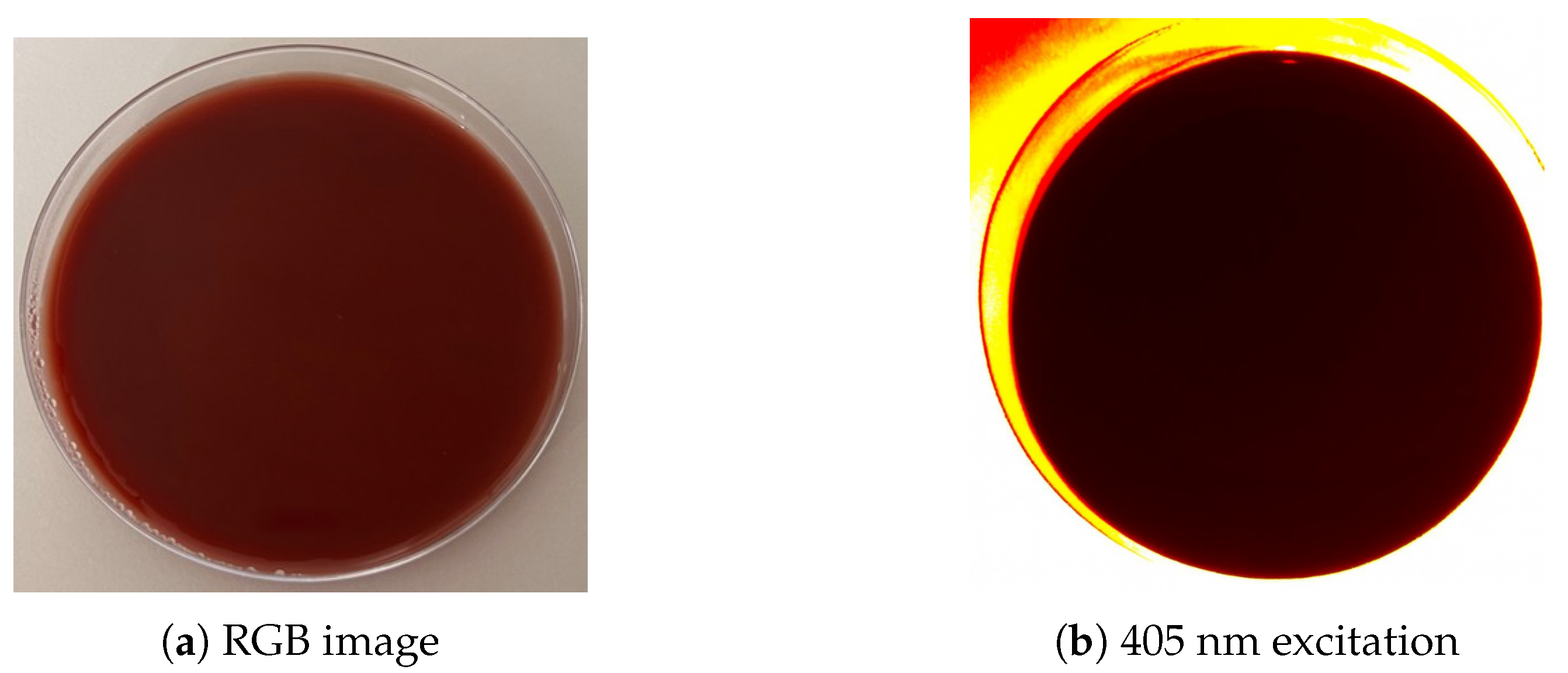 Diagnostics 15 02436 g001