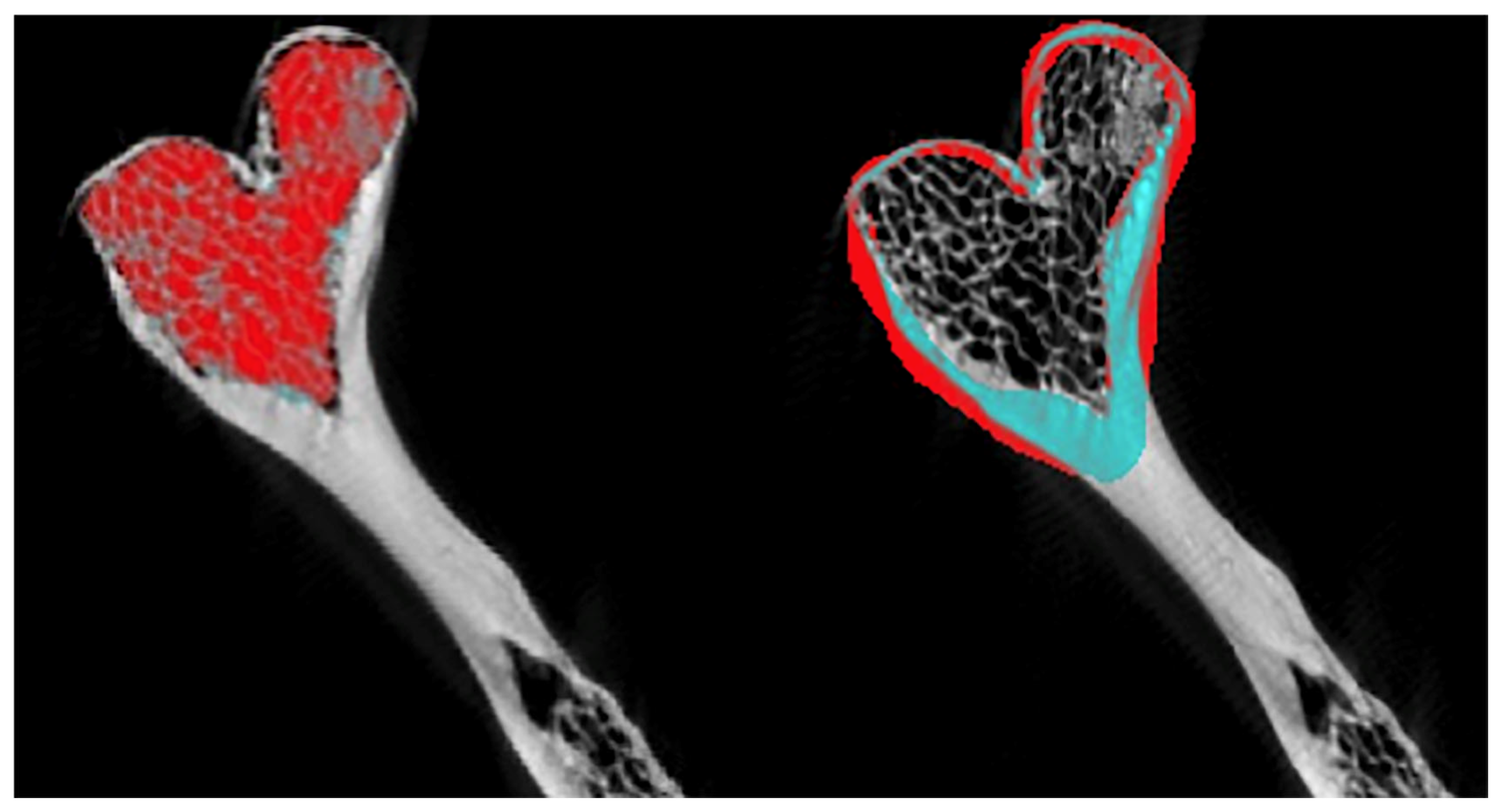Diagnostics 15 02440 g001