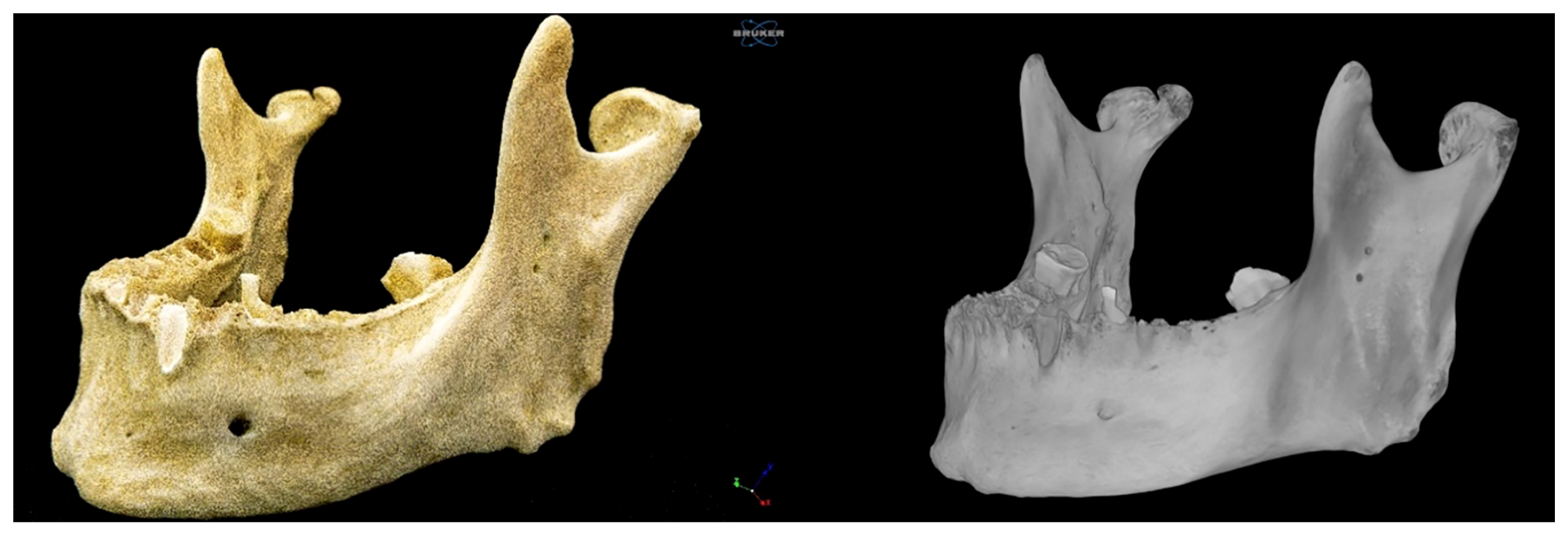 Diagnostics 15 02440 g002
