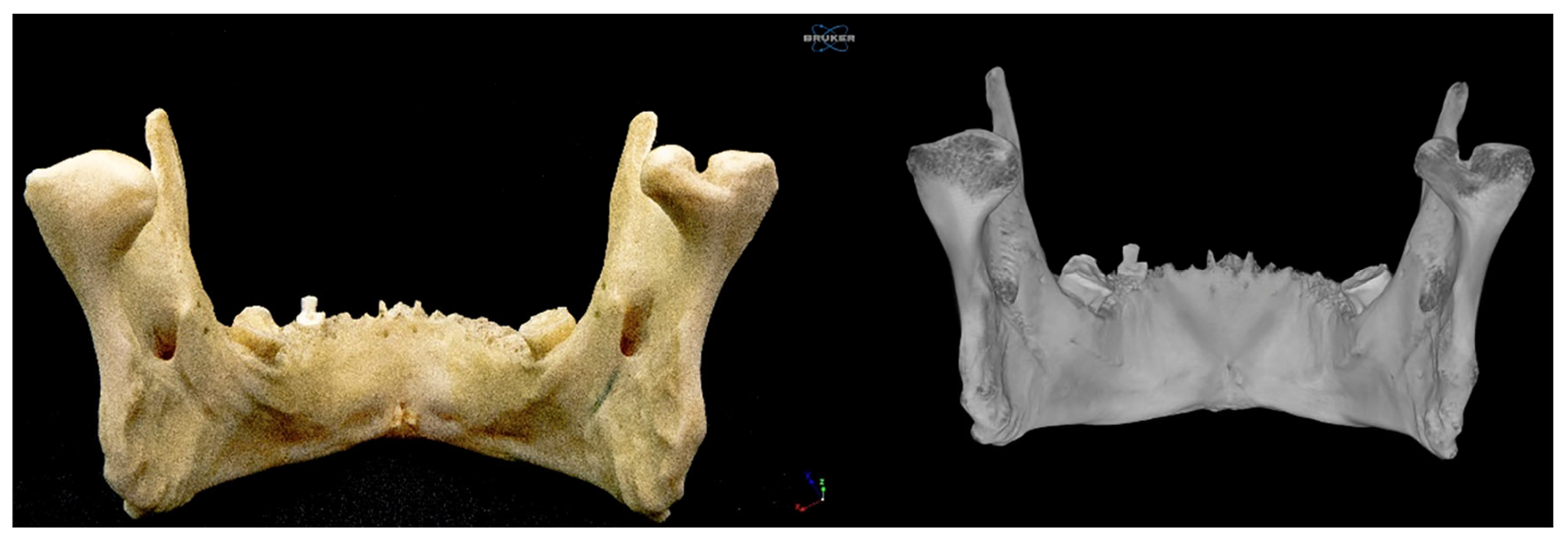 Diagnostics 15 02440 g003
