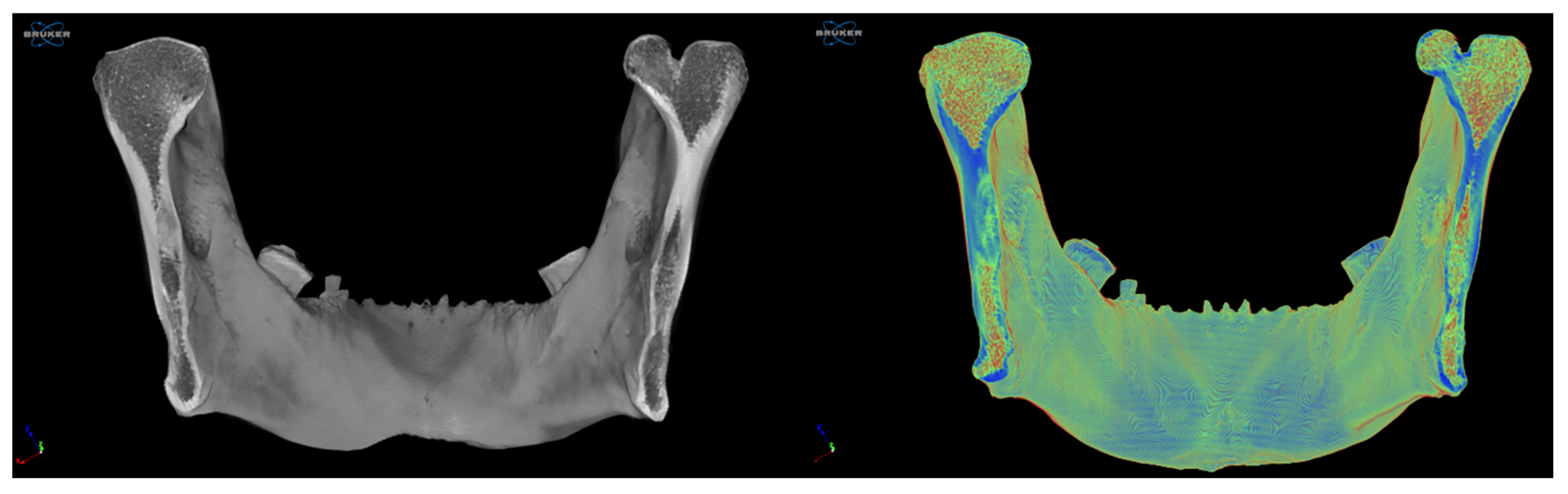Diagnostics 15 02440 g004