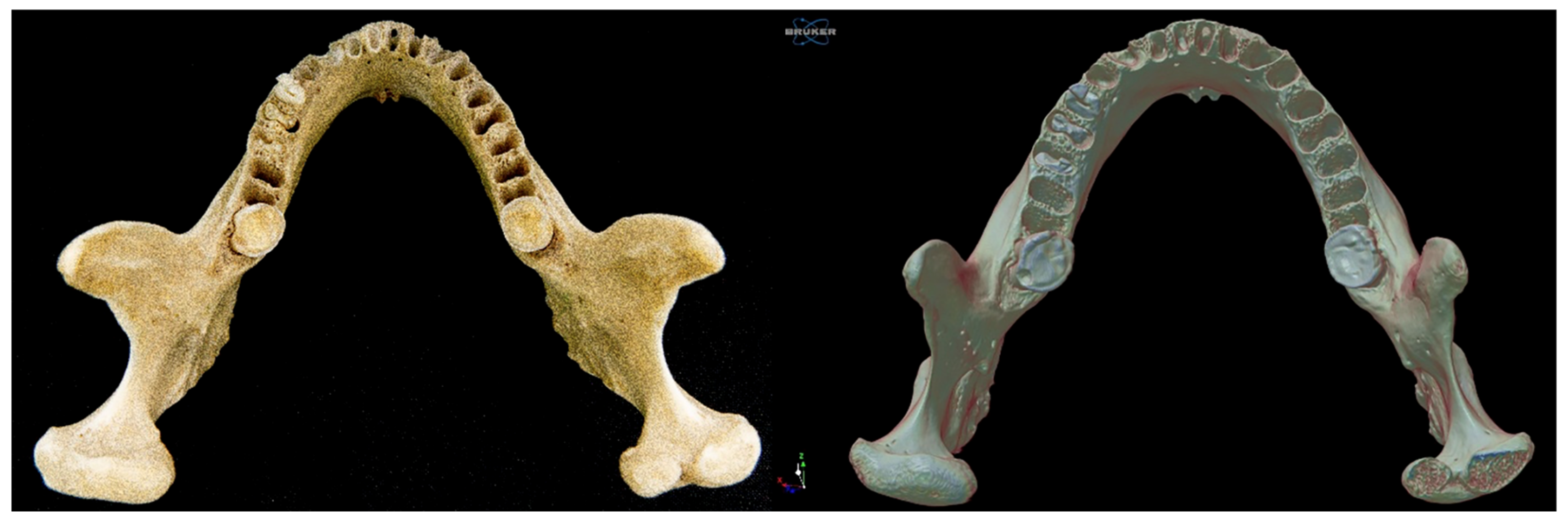 Diagnostics 15 02440 g005