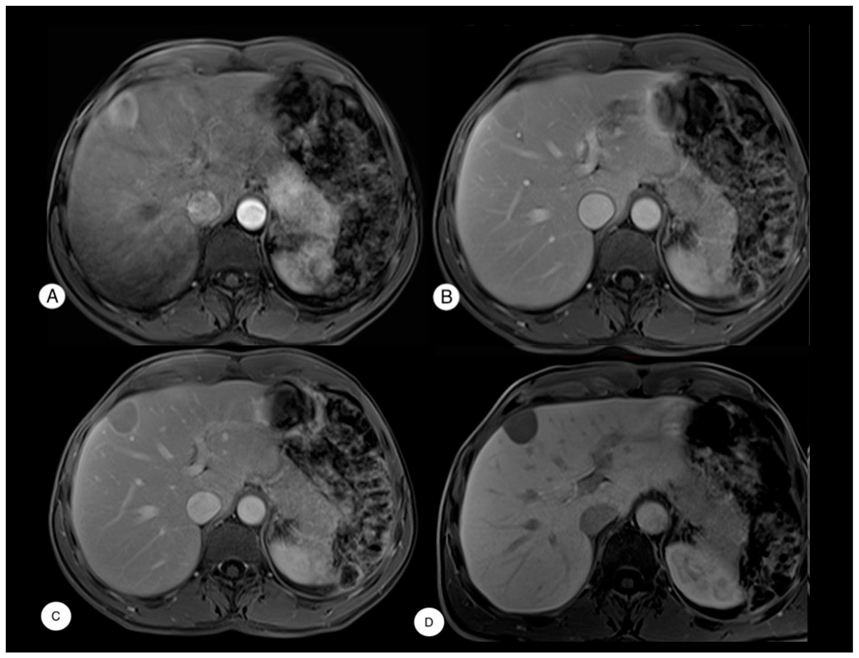 Diagnostics 15 02442 g001 Diagnostics 15 02442 g001