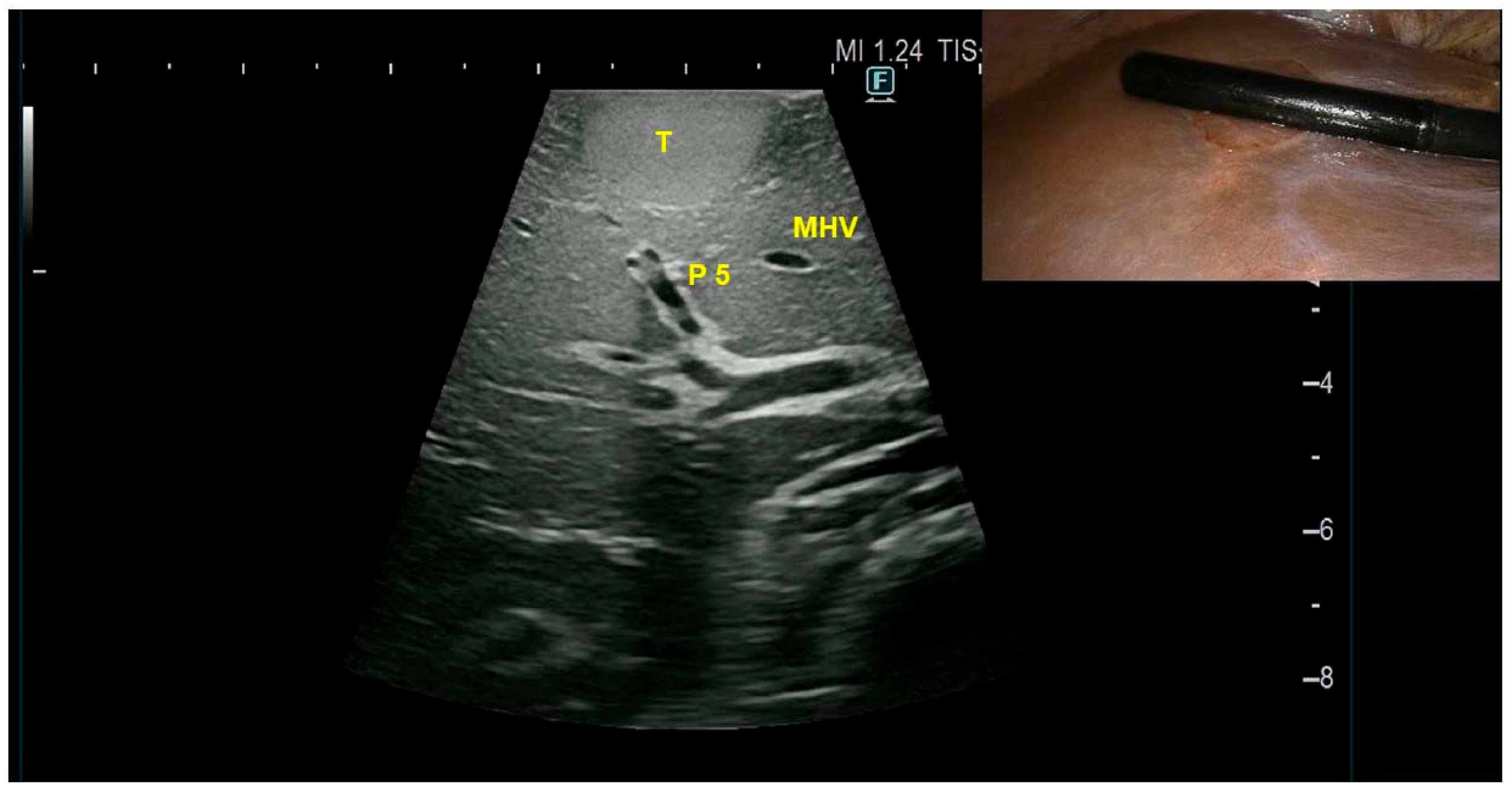 Diagnostics 15 02442 g002 Diagnostics 15 02442 g002