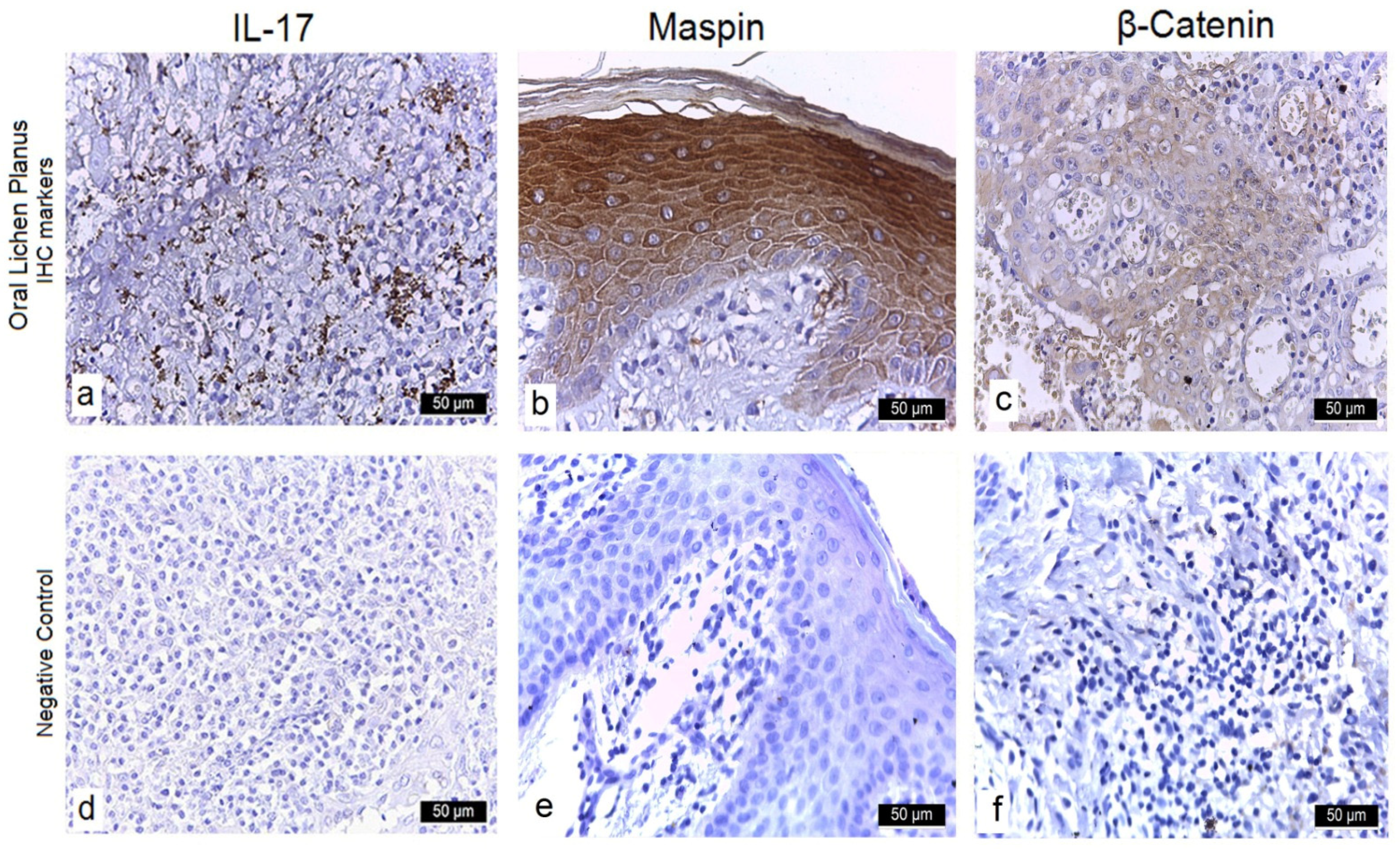 Diagnostics 15 02443 g001