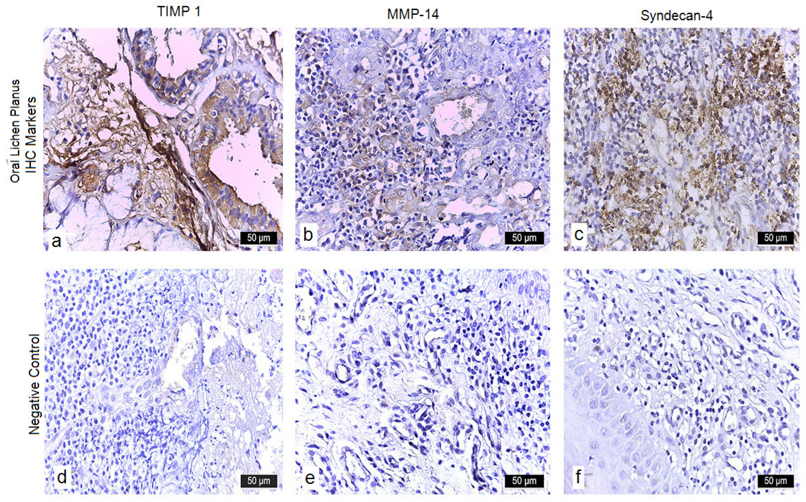 Diagnostics 15 02443 g002