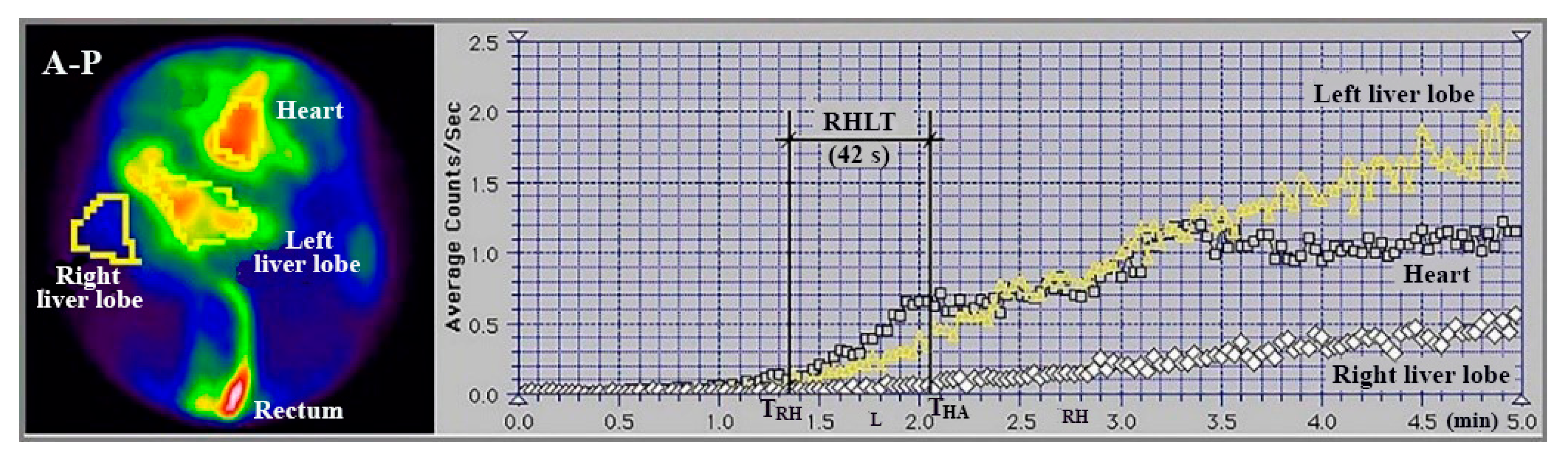 Diagnostics 15 02444 g003