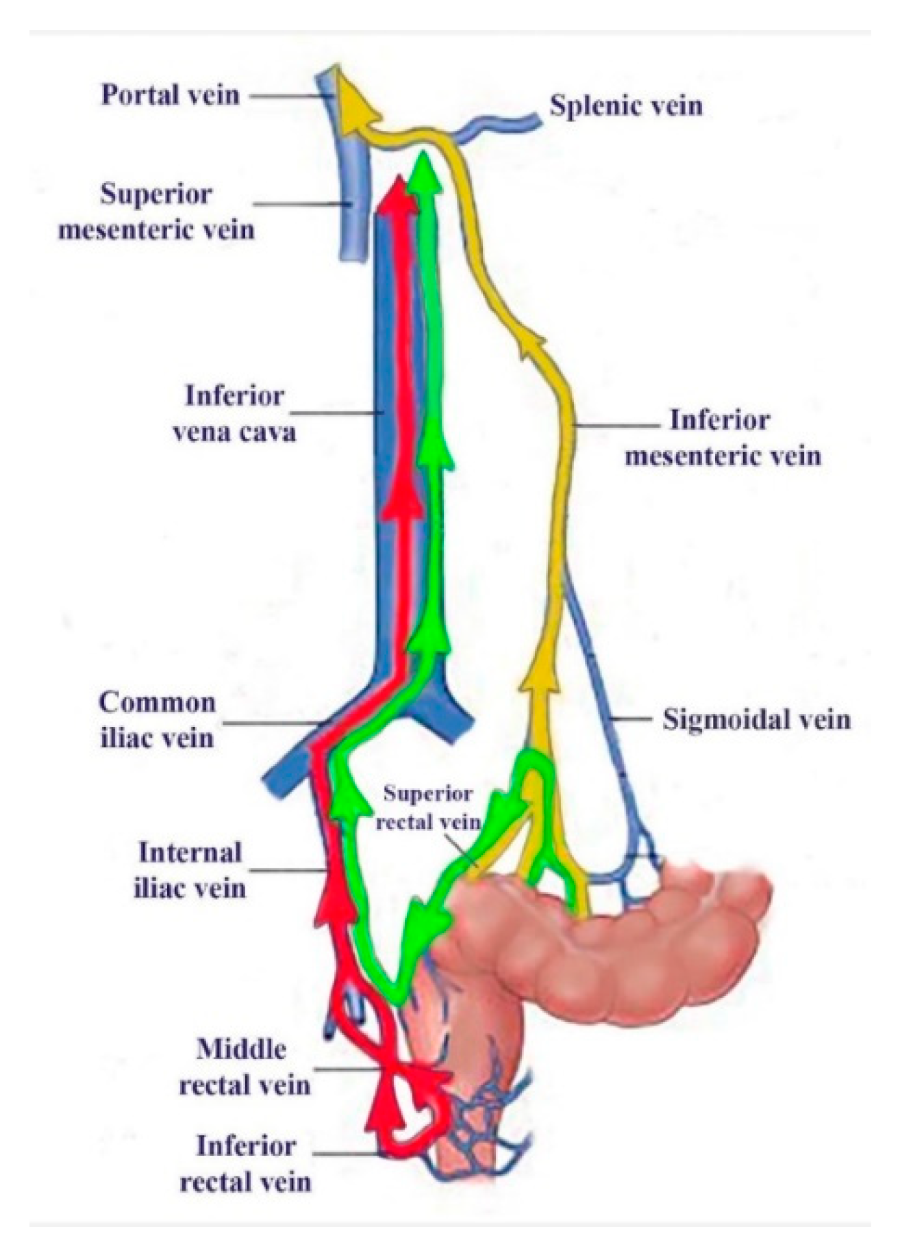 Diagnostics 15 02444 g004
