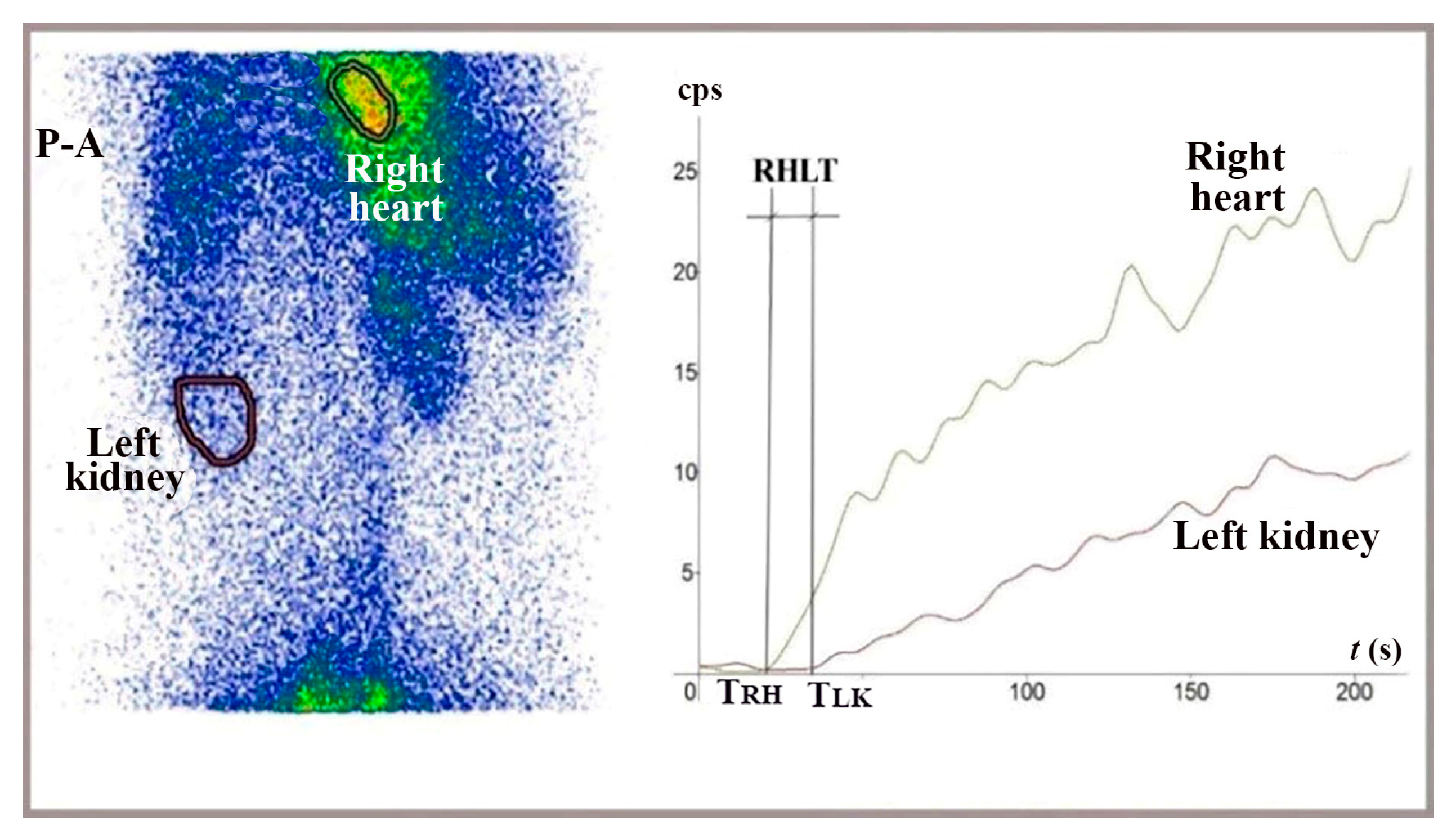 Diagnostics 15 02444 g005