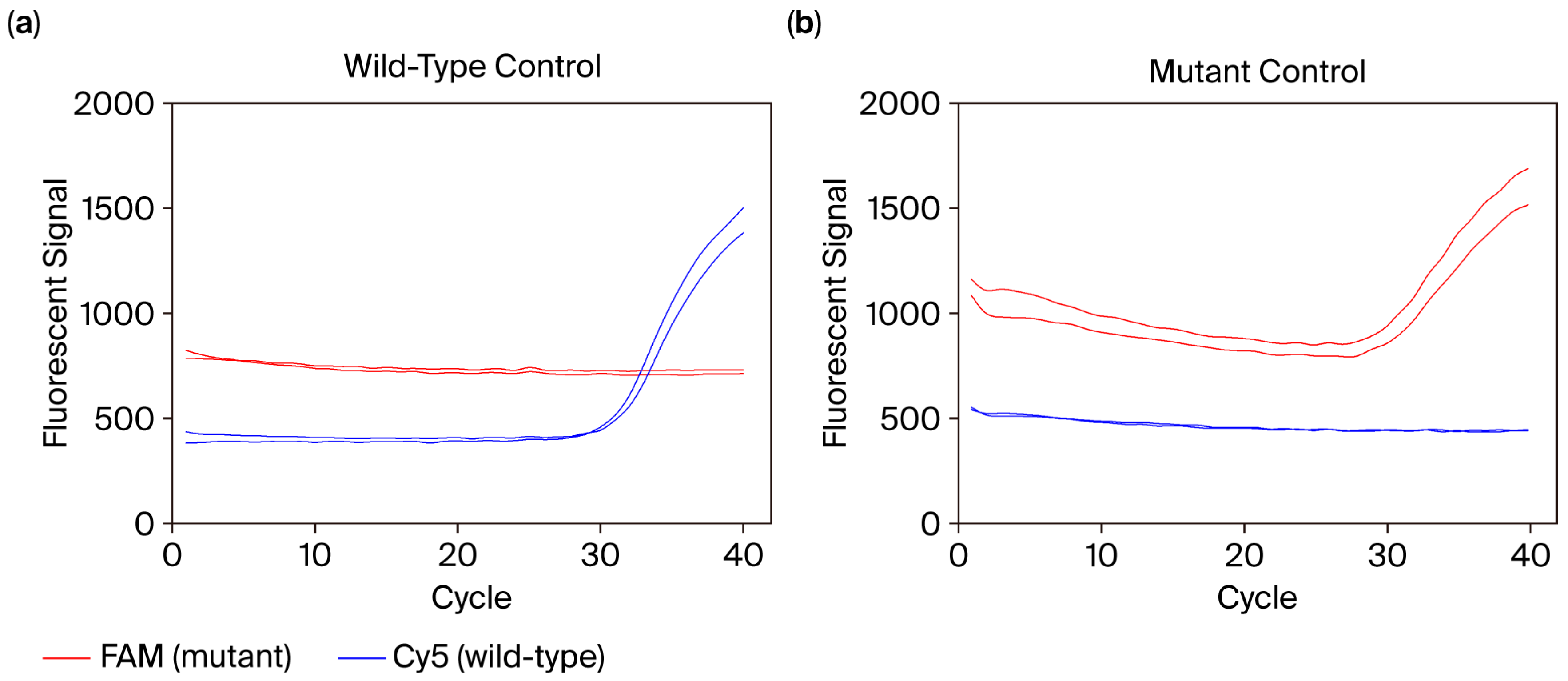 Diagnostics 15 02445 g005 Diagnostics 15 02445 g005