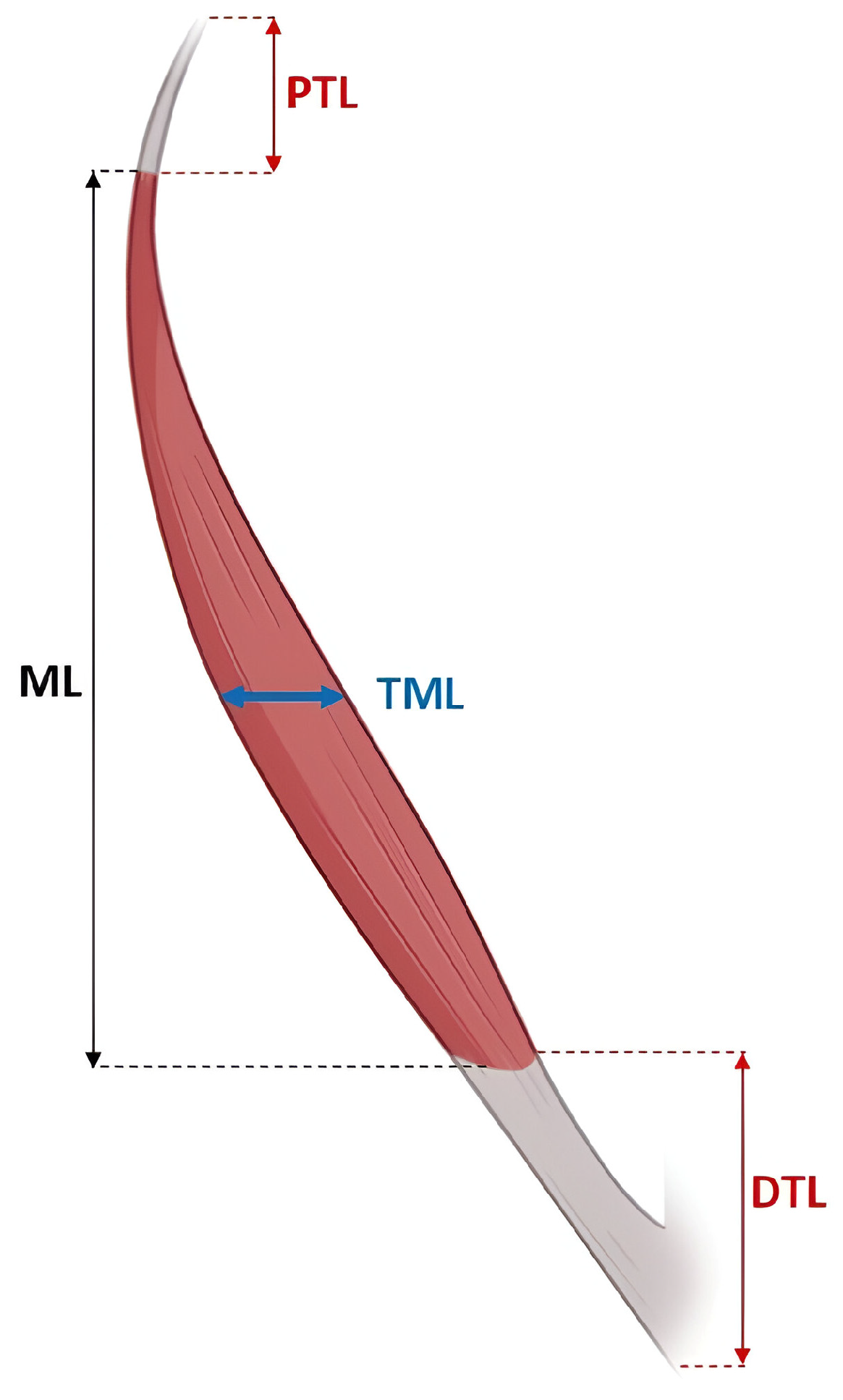 Diagnostics 15 02455 g001 Diagnostics 15 02455 g001