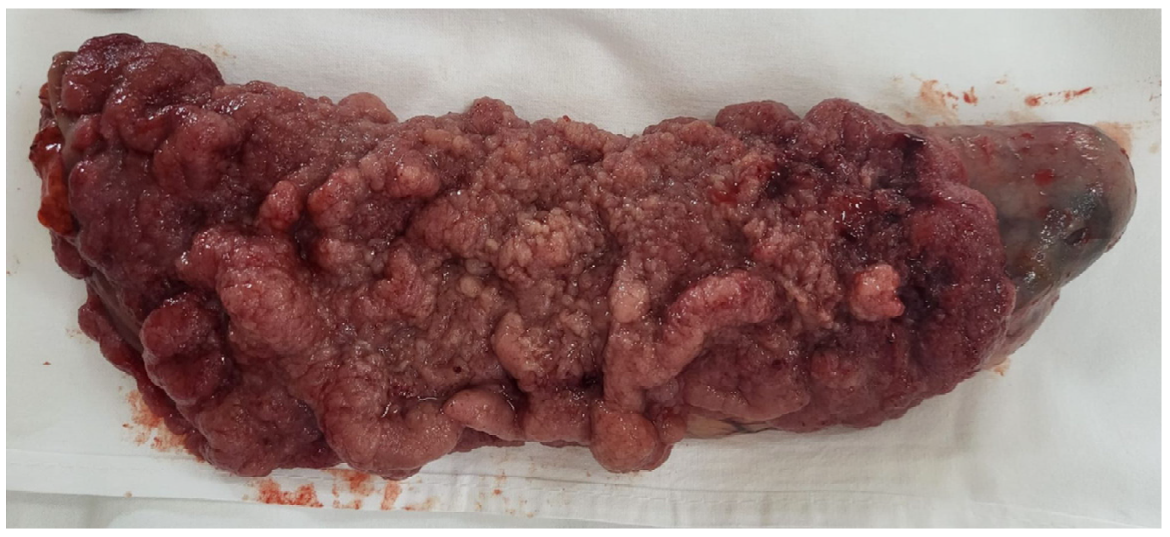 Diagnostics 15 02459 g003