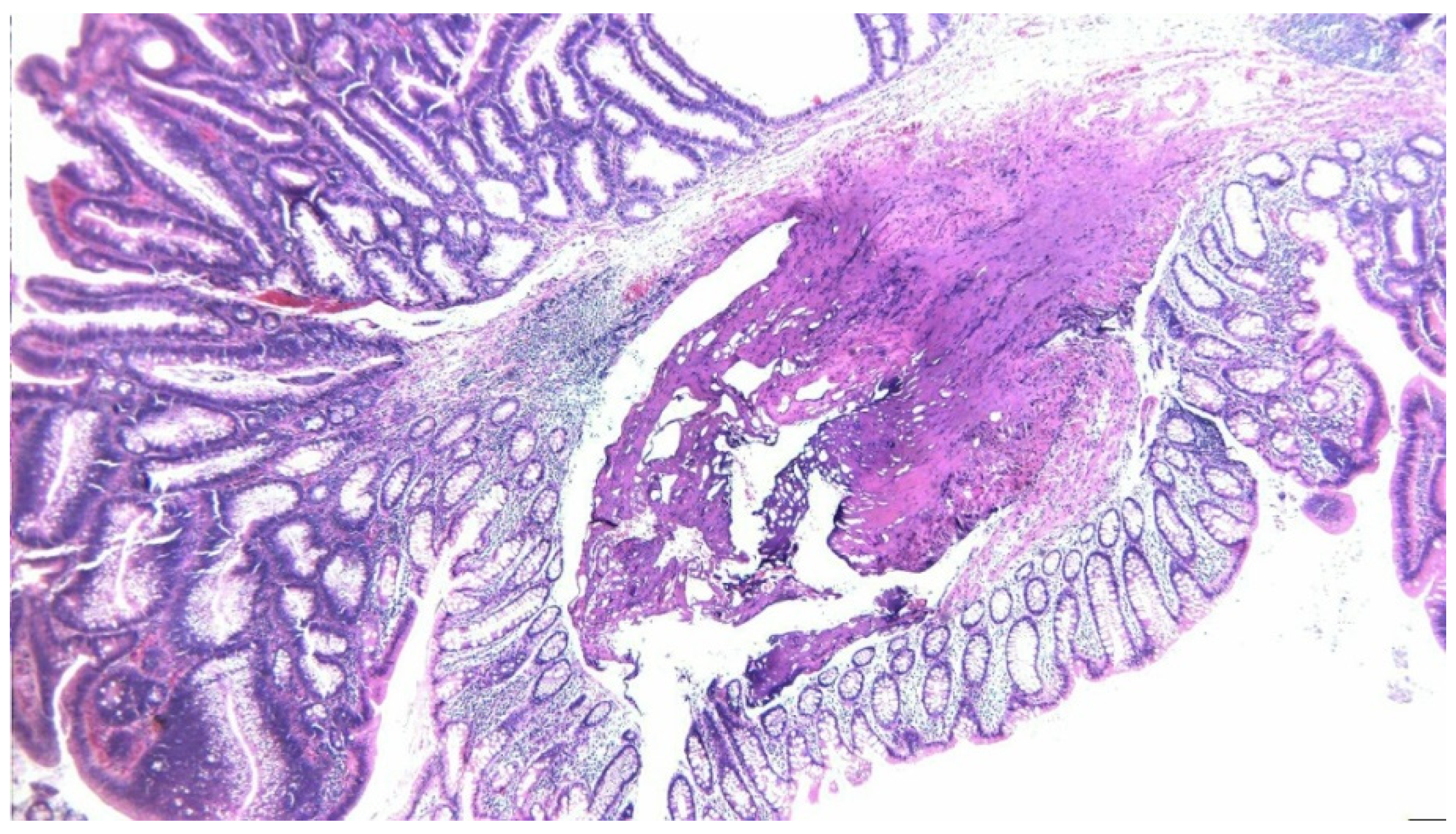 Diagnostics 15 02459 g004