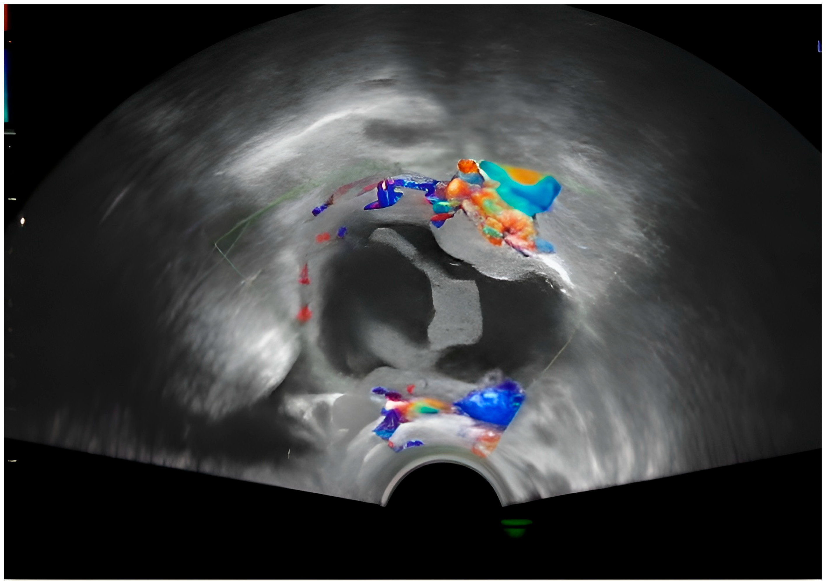 Diagnostics 15 02460 g002