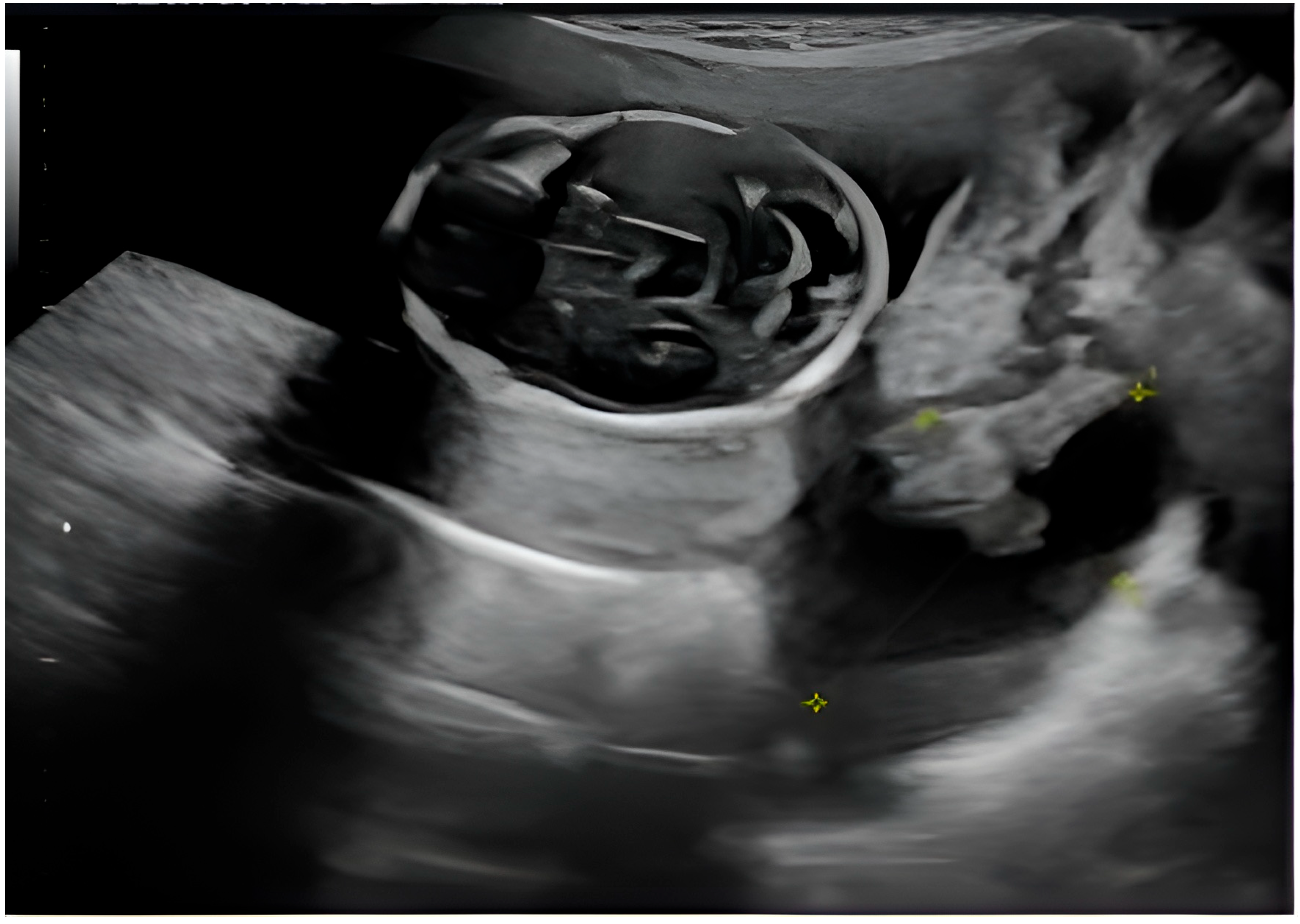 Diagnostics 15 02460 g003